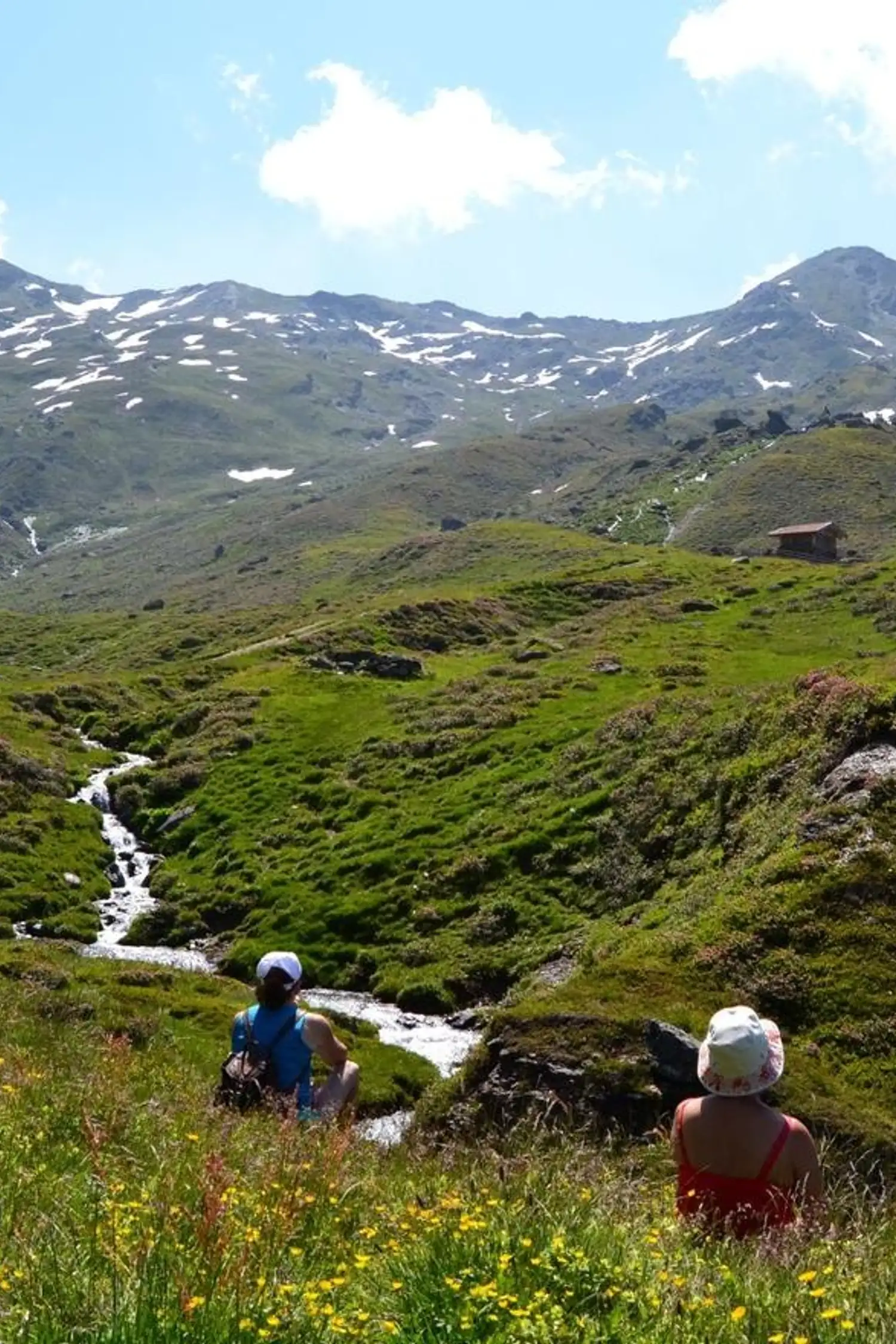 Almenausflug mit Wanderung zur Arztaler Alm in Ellbögen