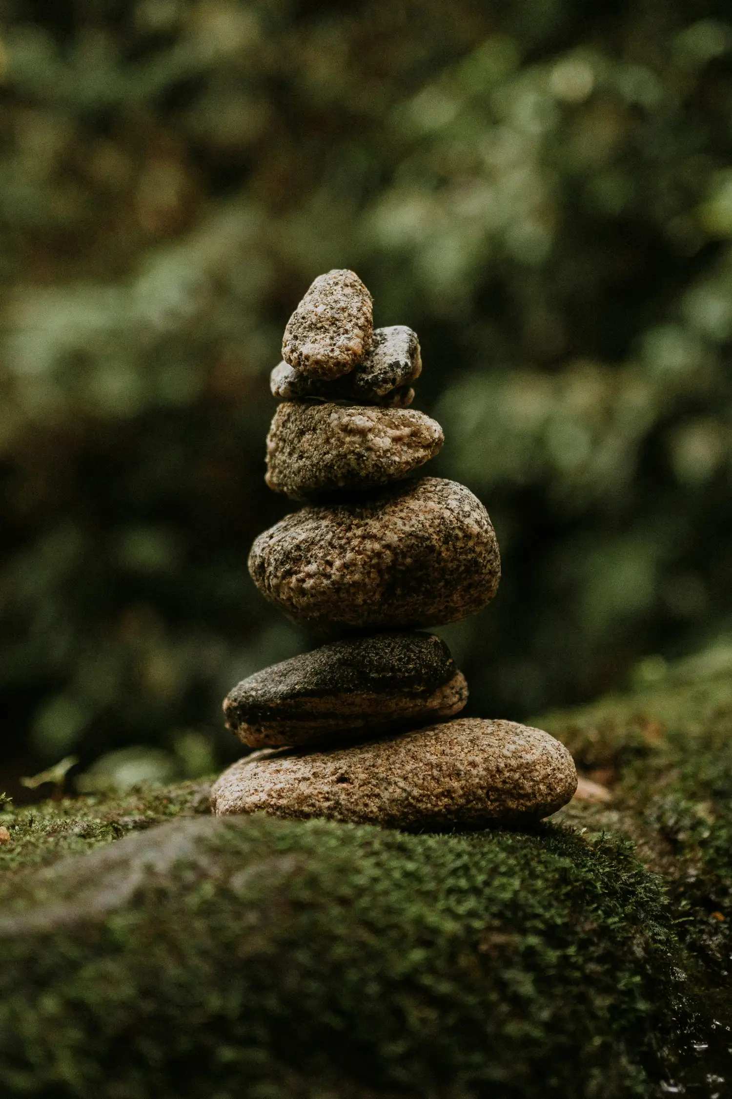 Meditation im Wald