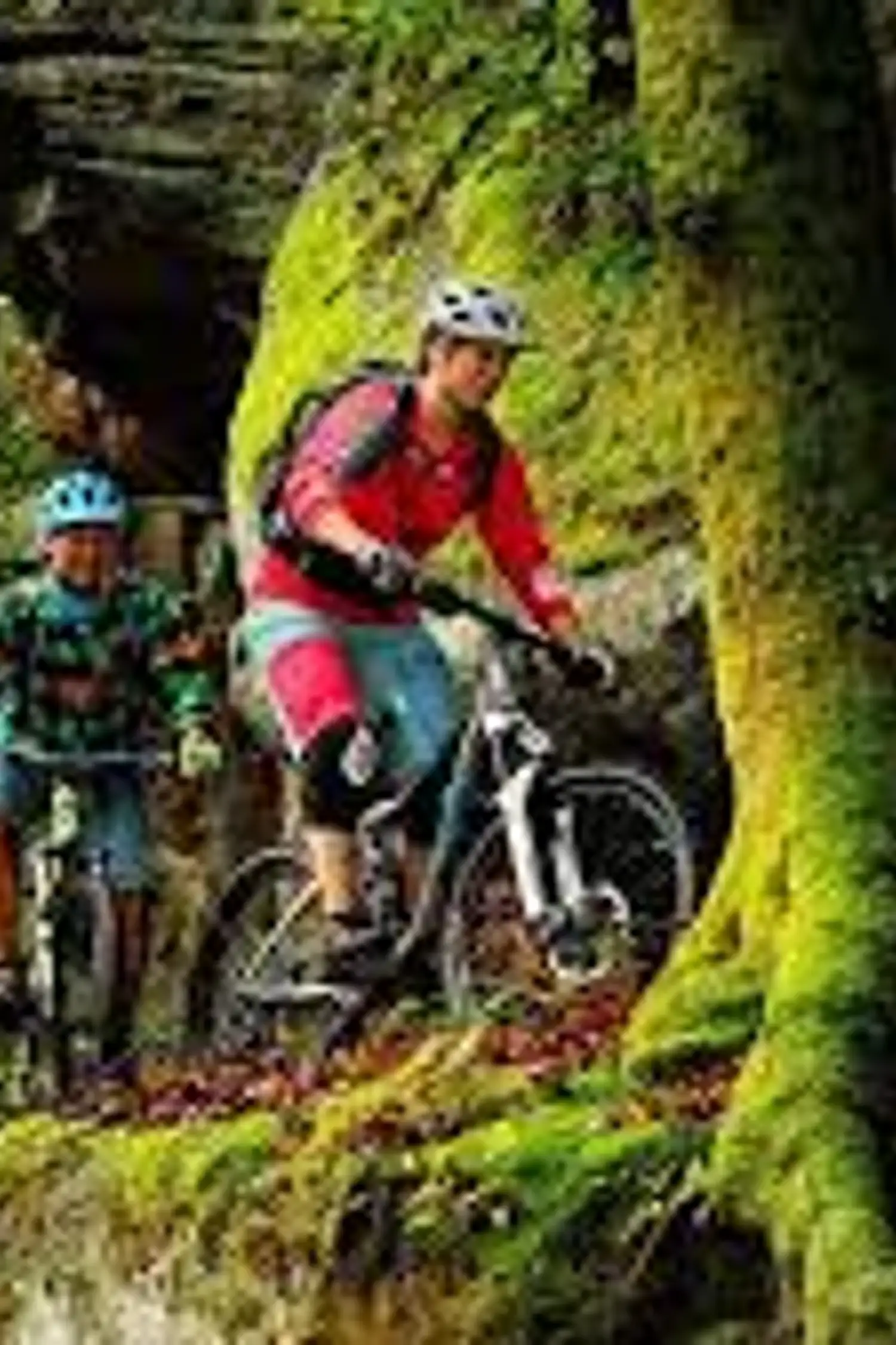 Mountainbike Park Pfälzerwald