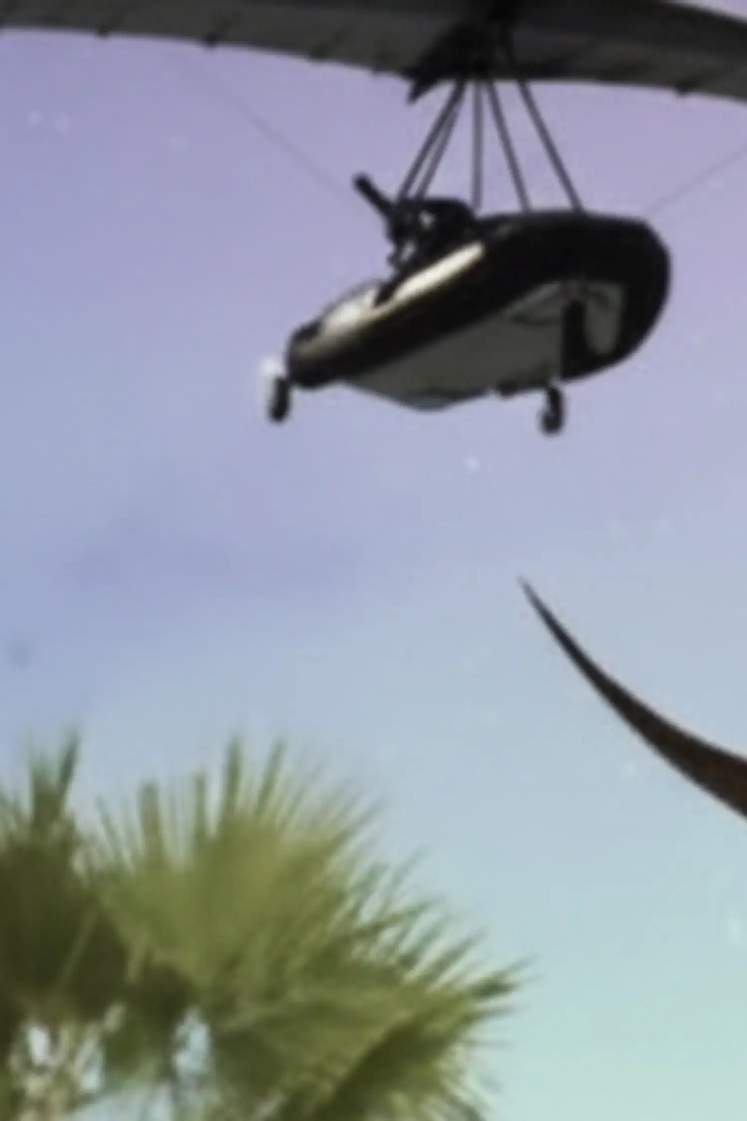 Dinosaurs and the Adventure of Flight—A Journey to the Age of Flying Dinosaurs