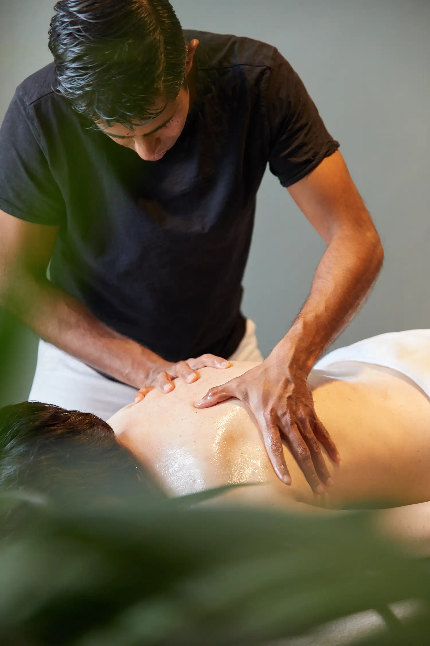Ayurvedic Wellness Massage