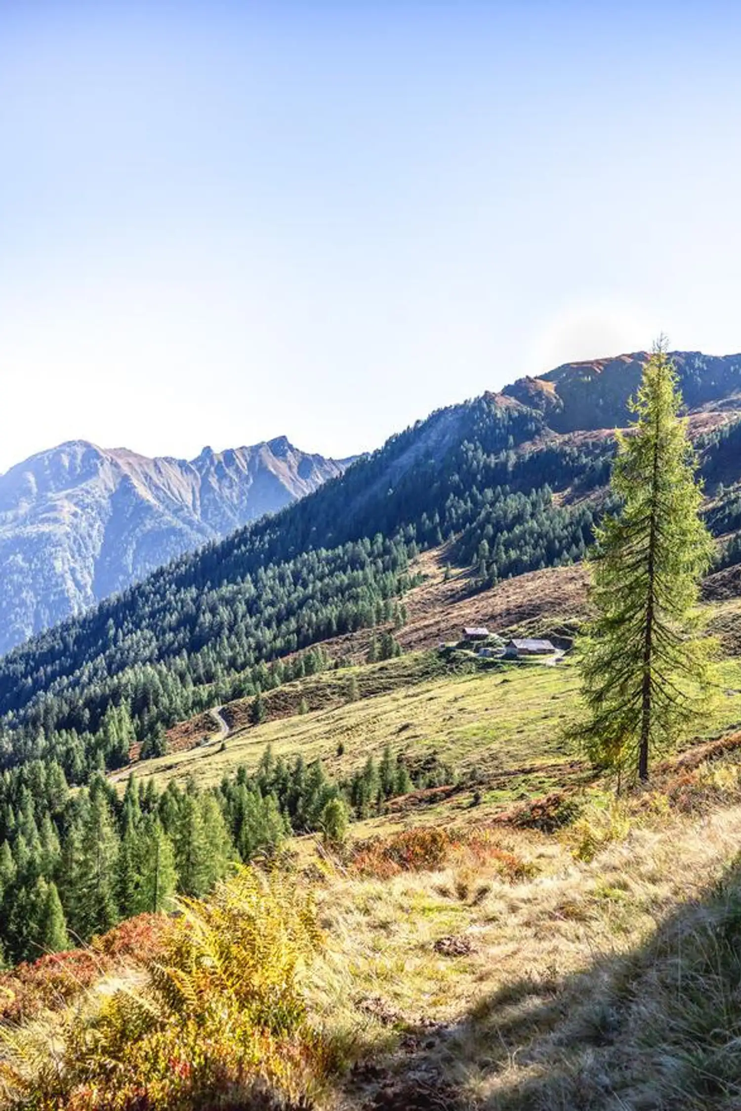 Guided ranger tour - up to the Wildalm