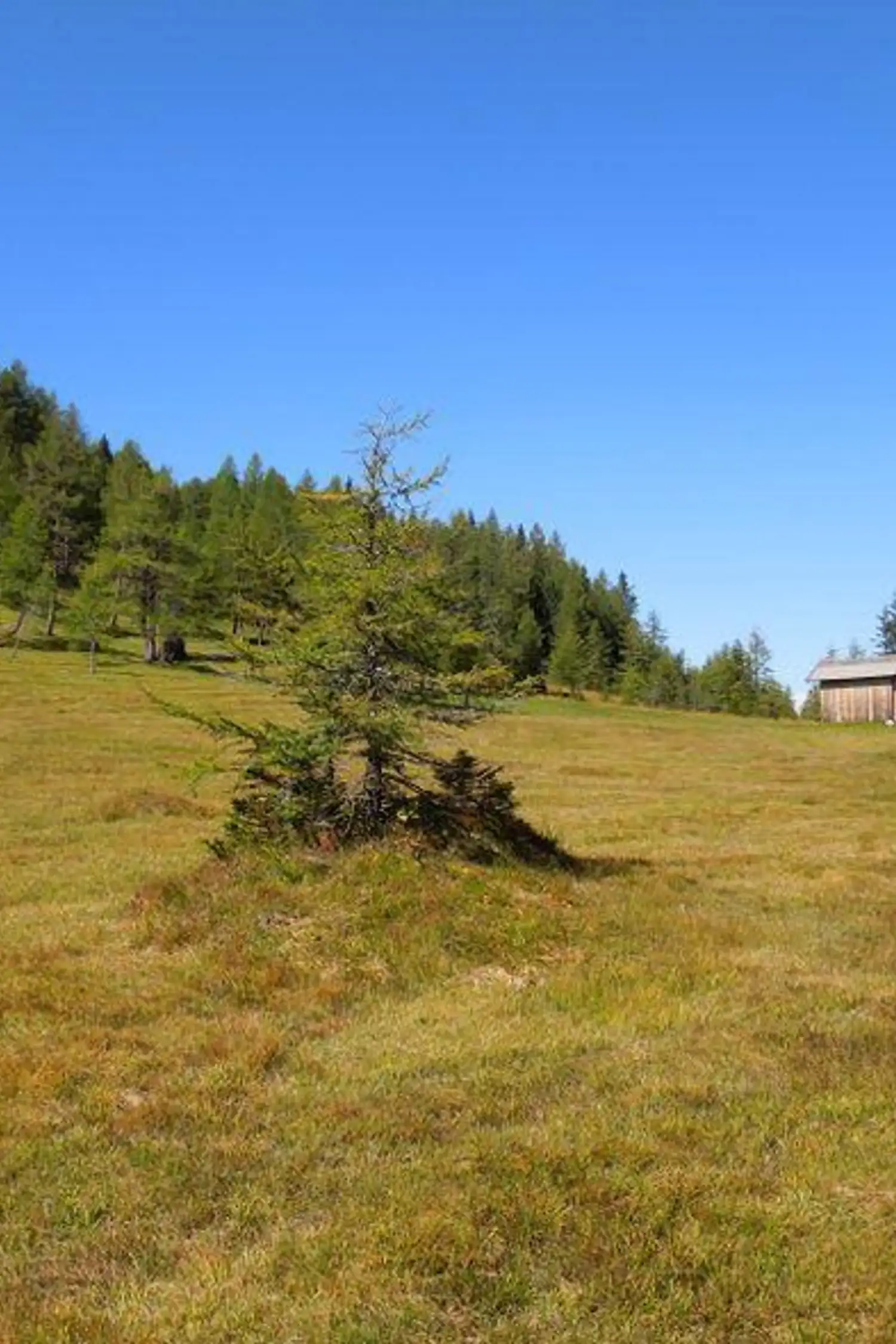 Free guided hike in the Serles area