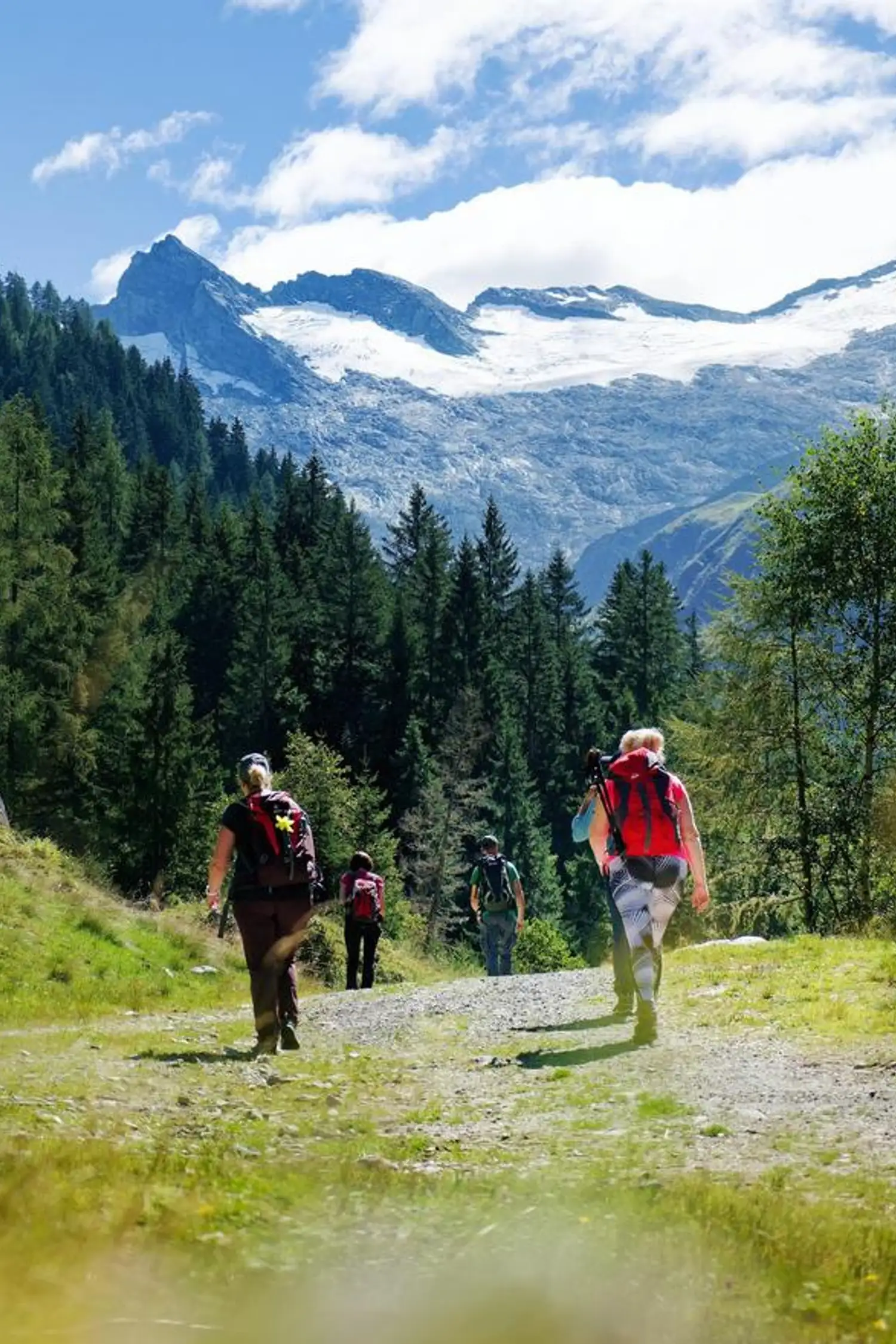 Guided ranger tour - Into the valley of emeralds