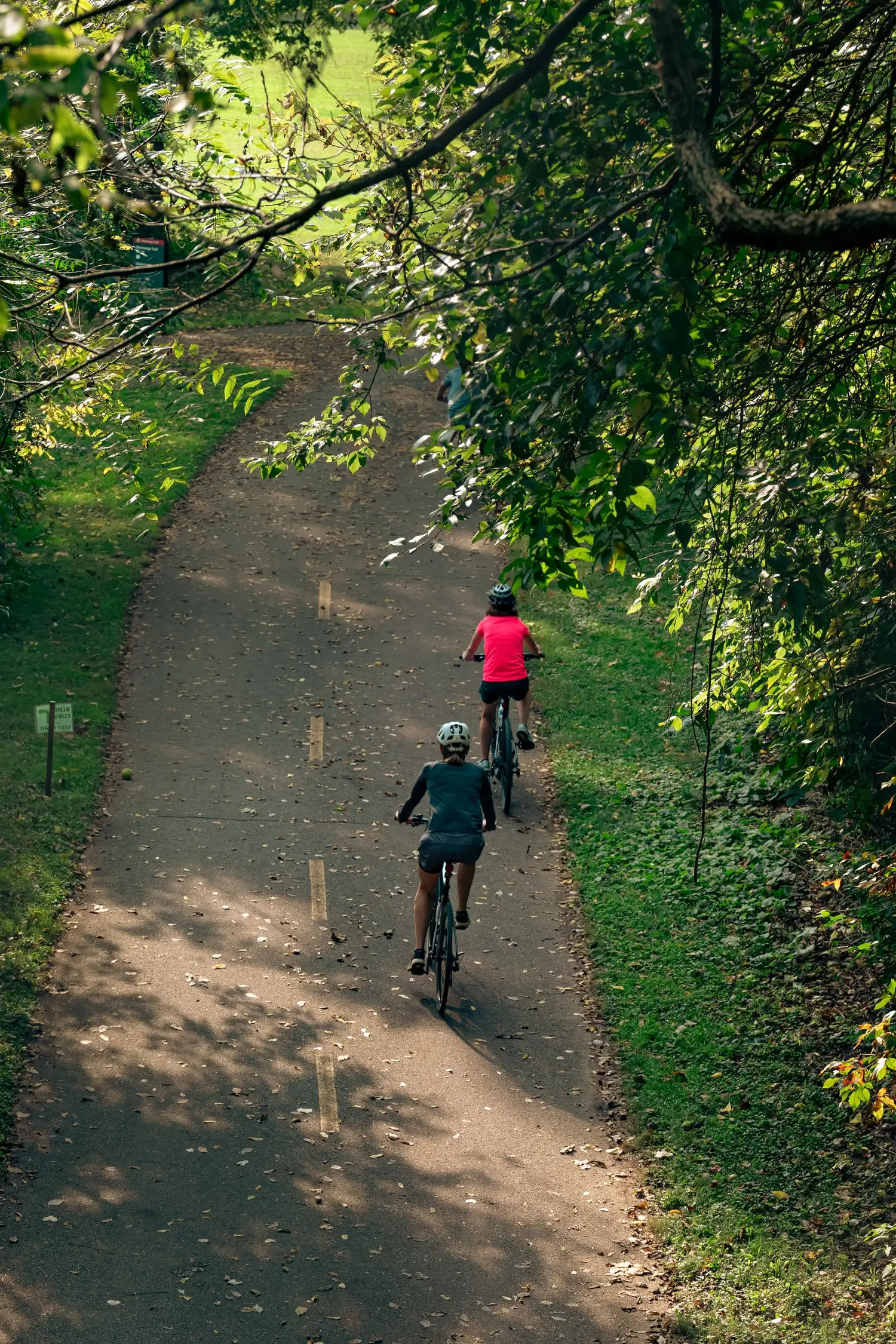 Guided Mountain Bike Tour