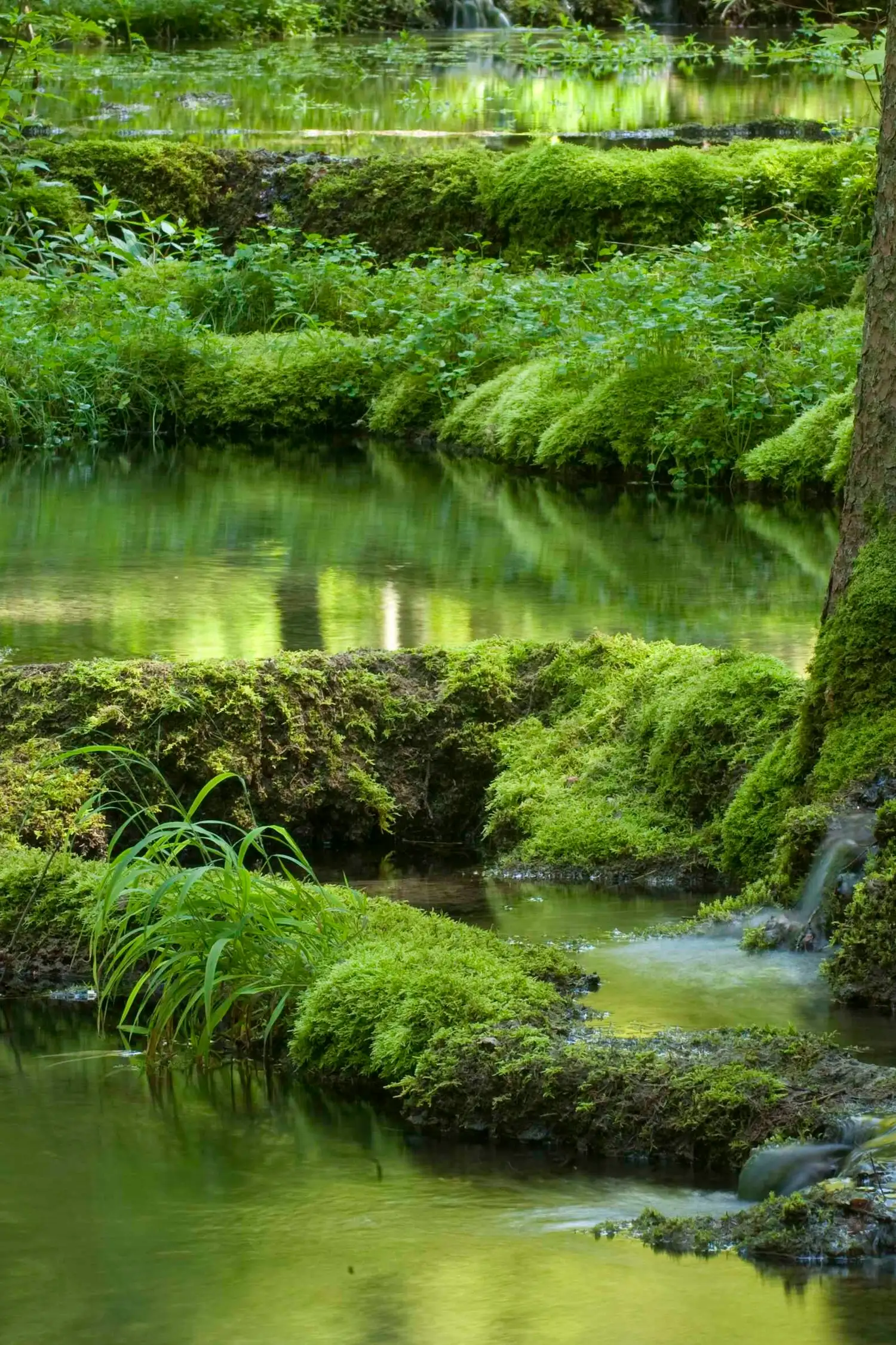Naturlehrpfad Kaisinger Tal