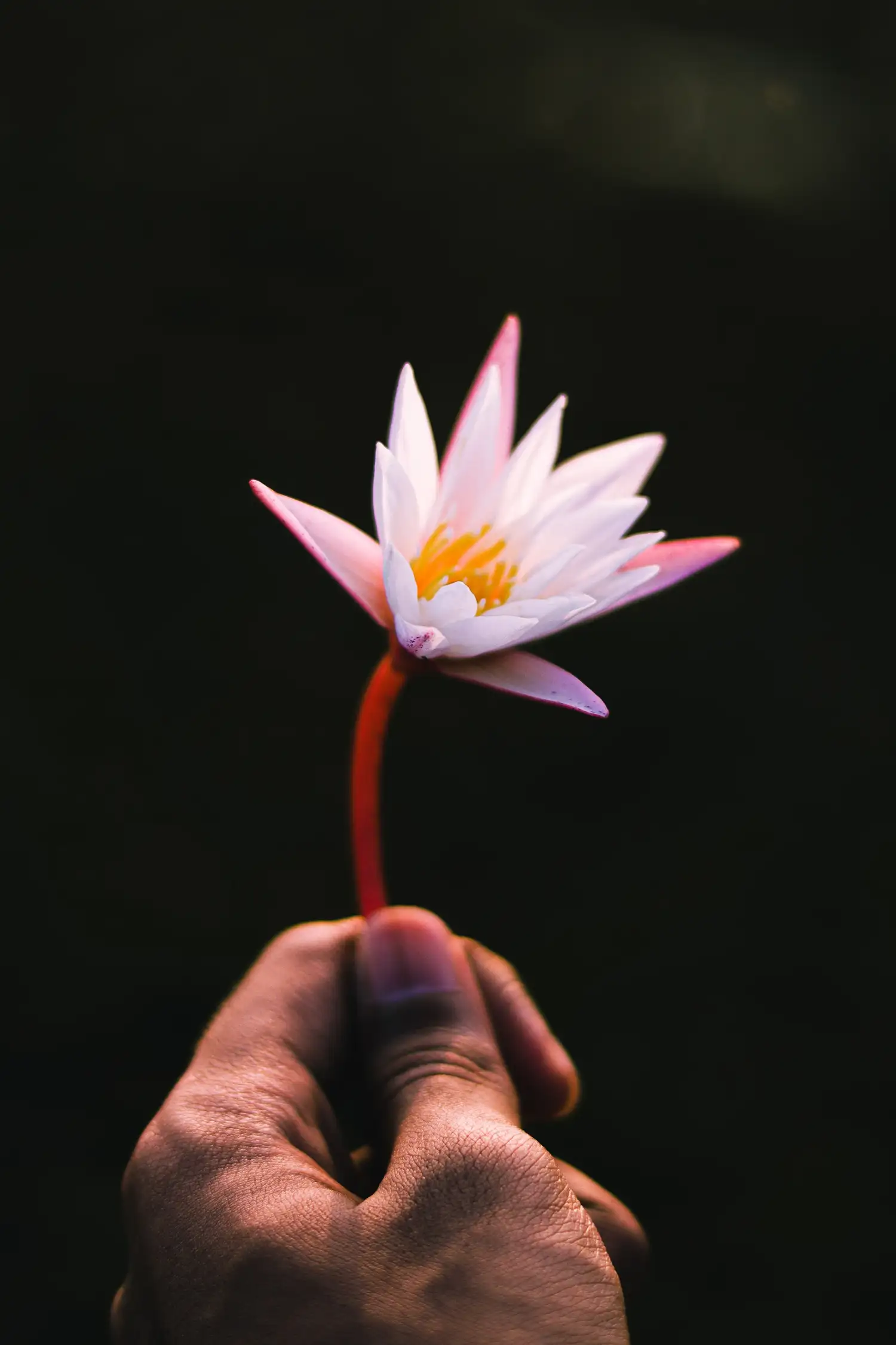 Ayurveda Massagen