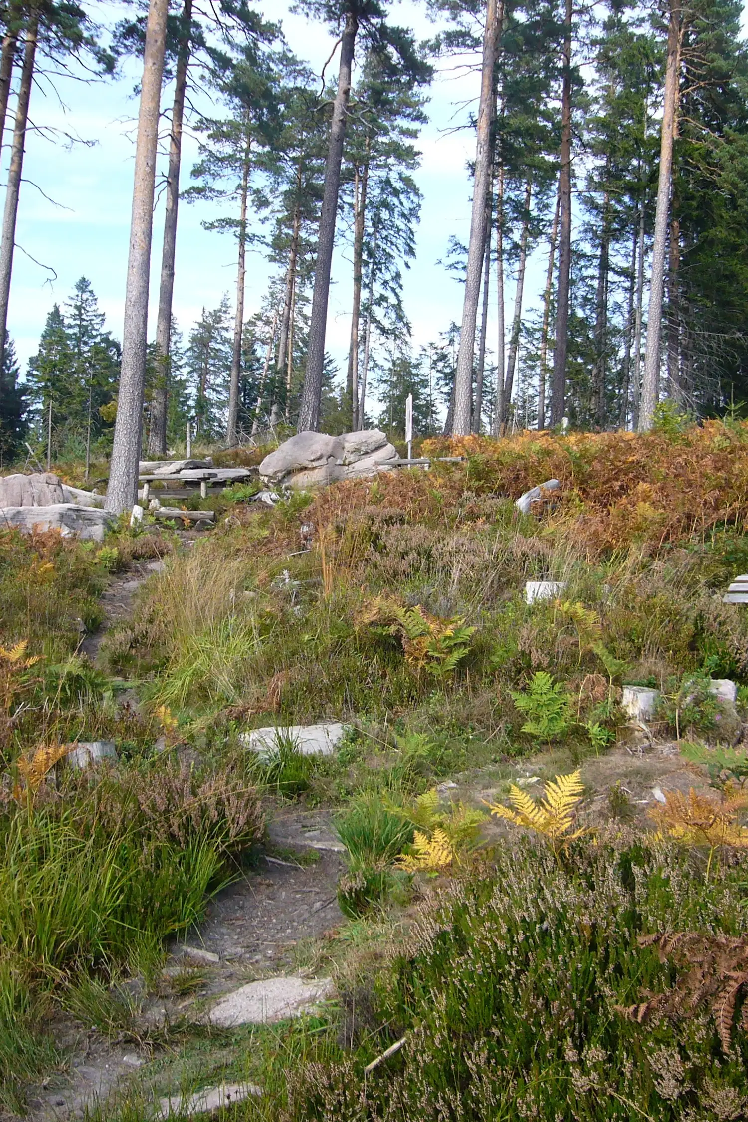 Wanderung im Tonbachtal