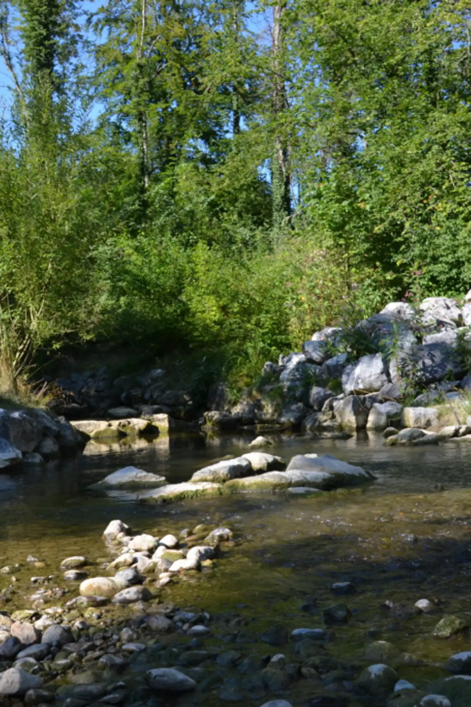 Meditationswanderung – innere Ruhe in der Kraft der Natur finden