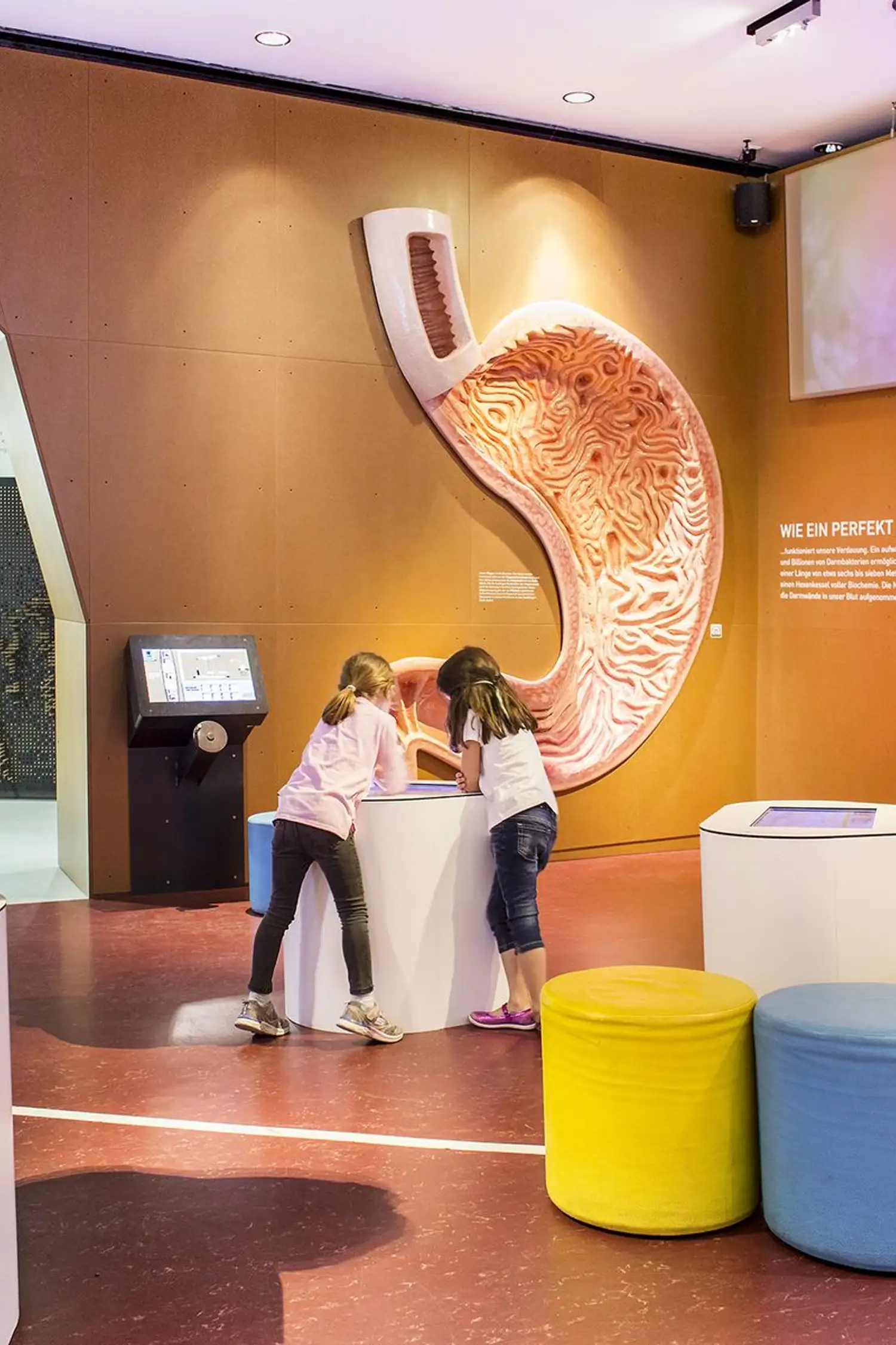 Inatura Dornbirn - Vorarlberg's natural history museum