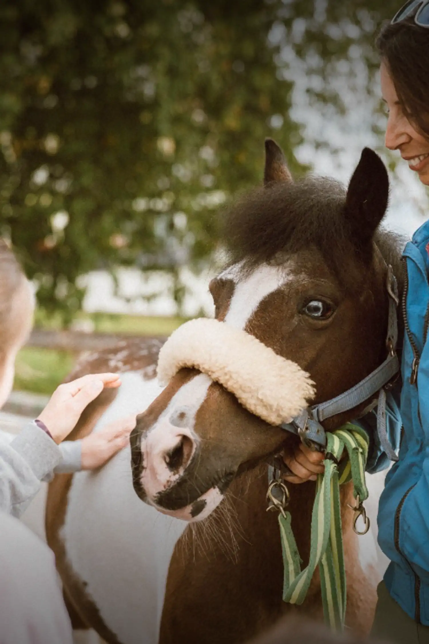 MONDAY: Pony ride and snack at the mountain hut