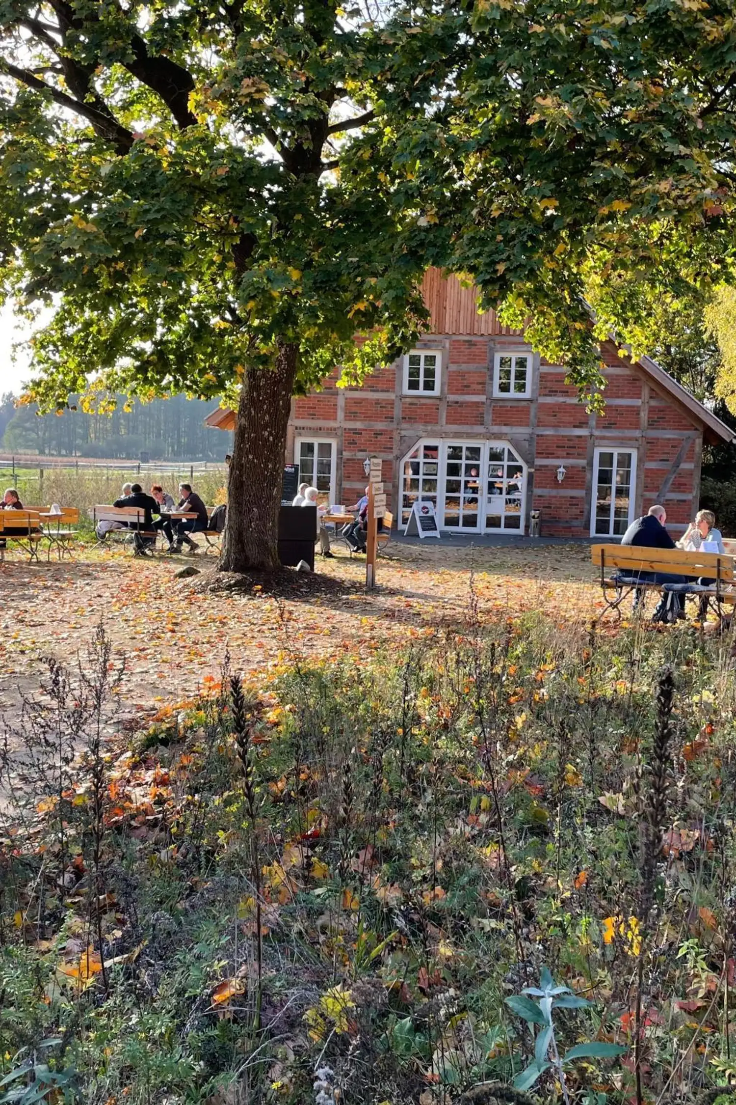 Abendgenuss am TraumzeitHof – frisch, bio & mit Liebe gekocht