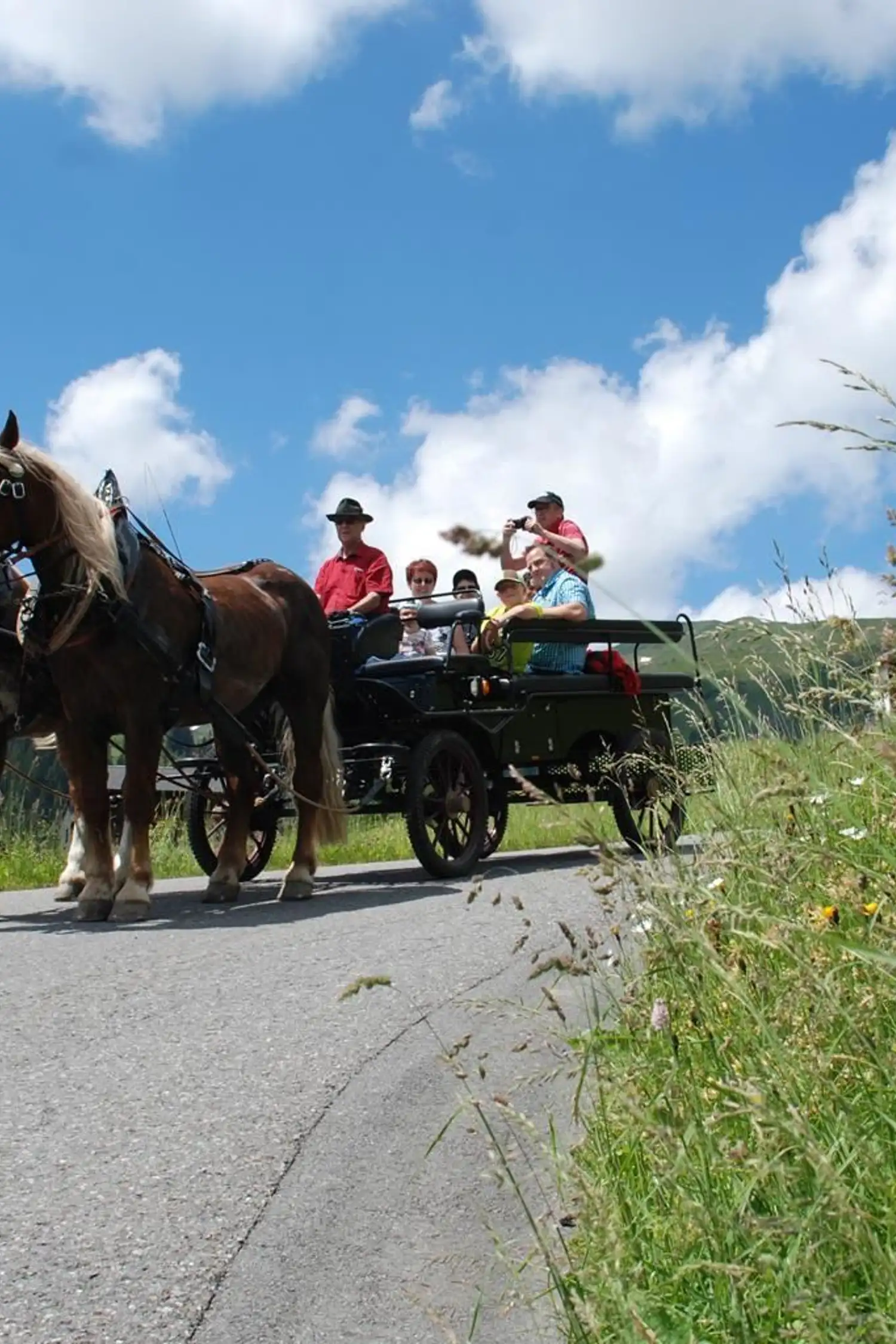 Horse-drawn carriage ride