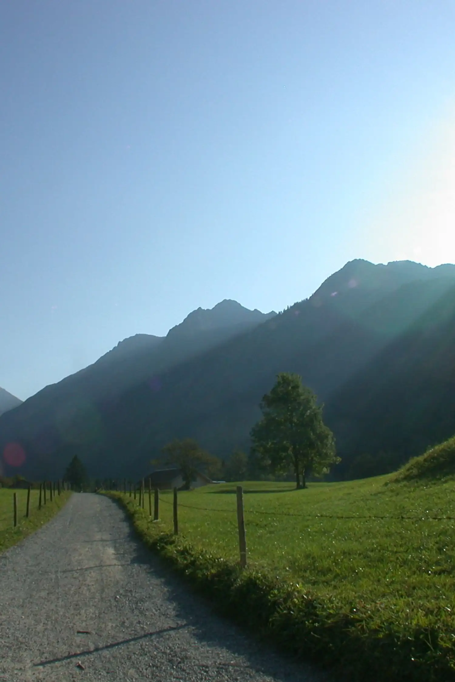 2-Alpen-Wanderung mit Max
