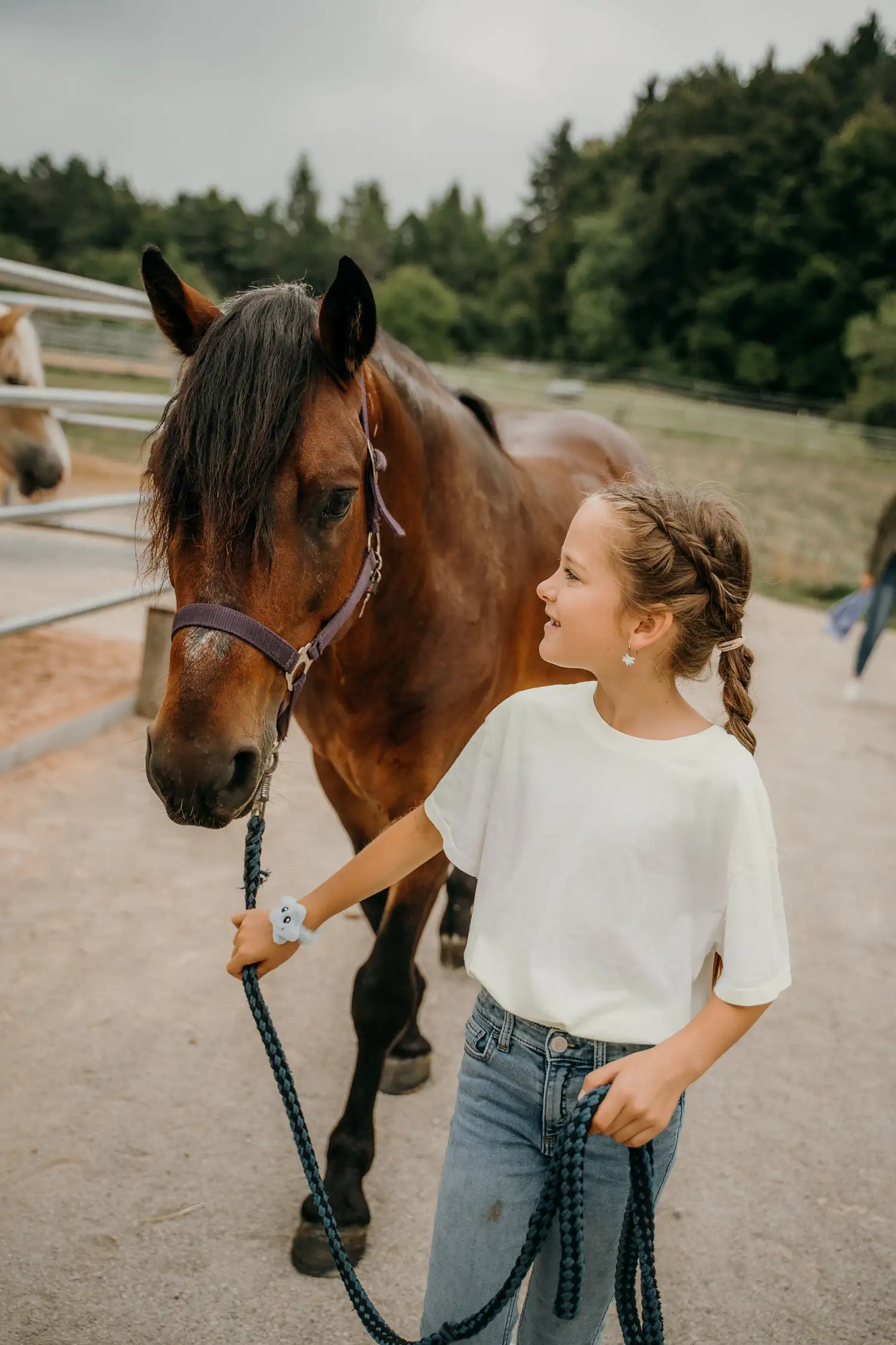 Horse Care