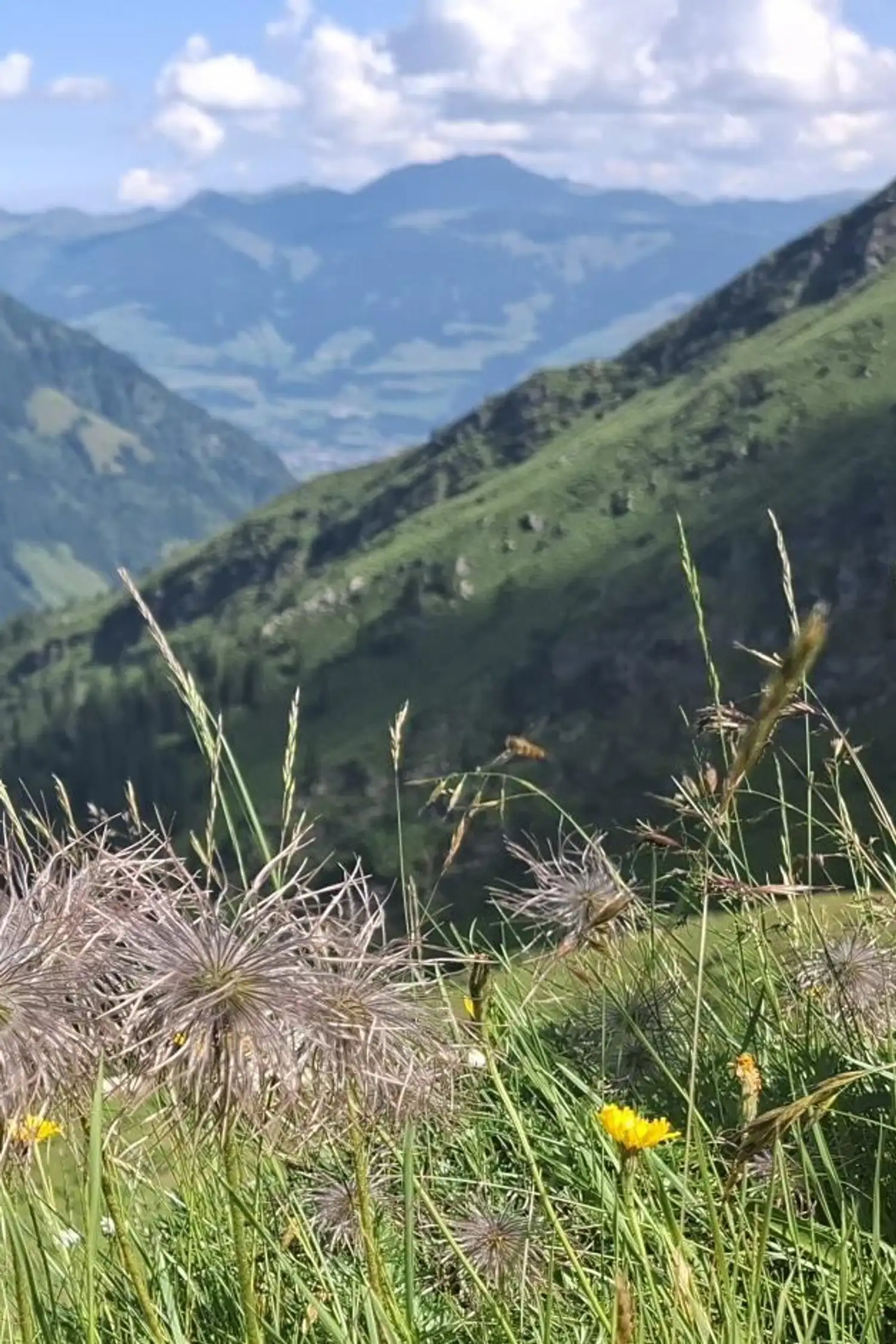 Geführte Bergtour zur Geierlacke