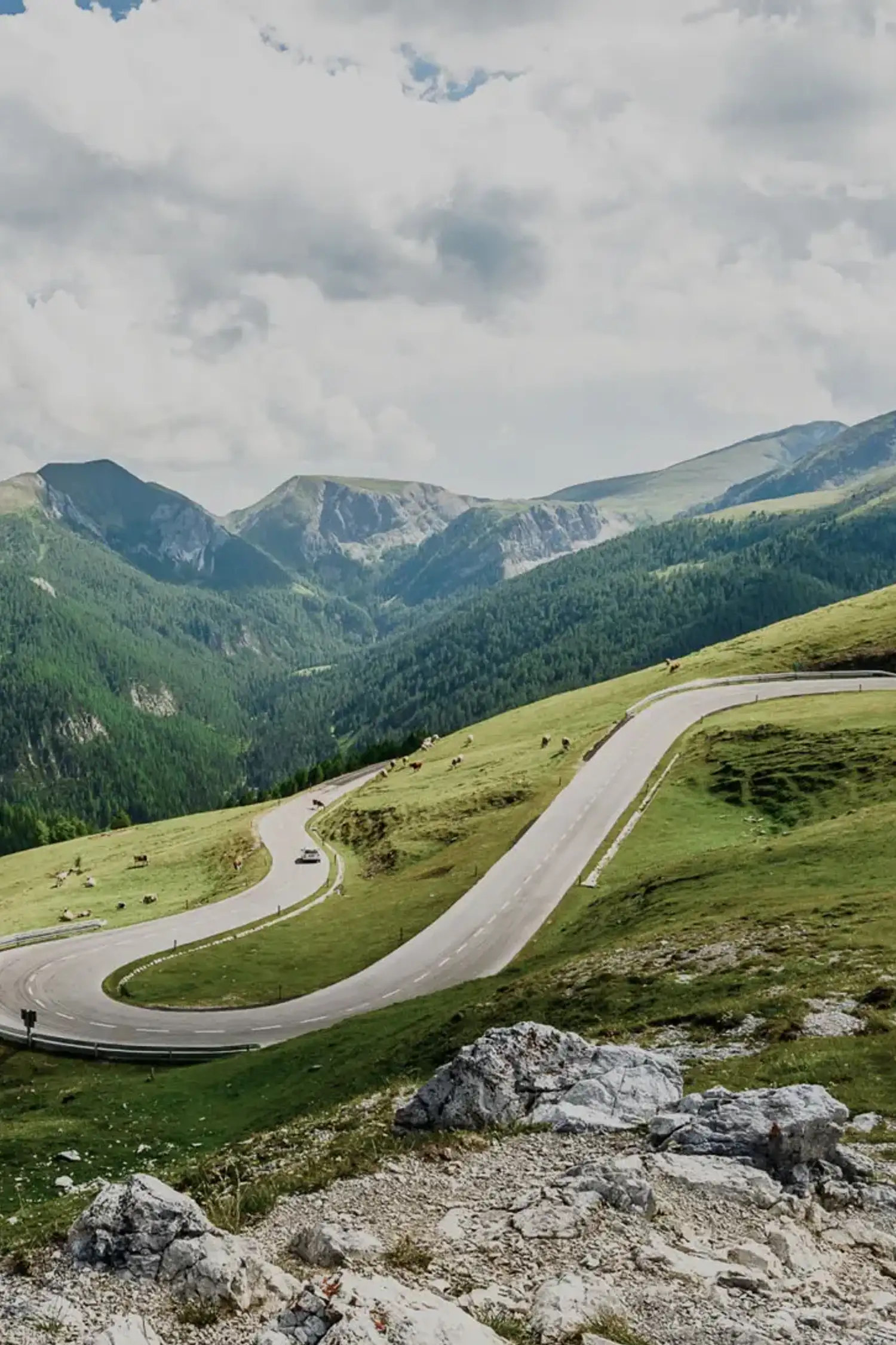 Nockalm Pass tour - panoramic drive through the Carinthian Nockberge mountains