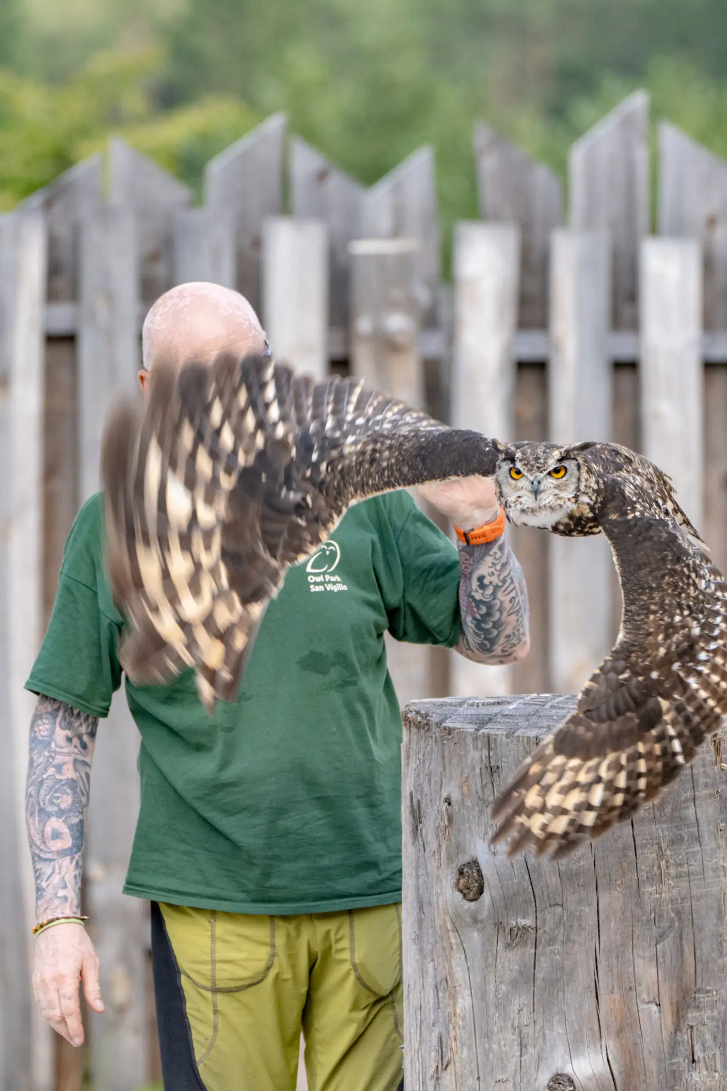 Owl Park San Vigilio