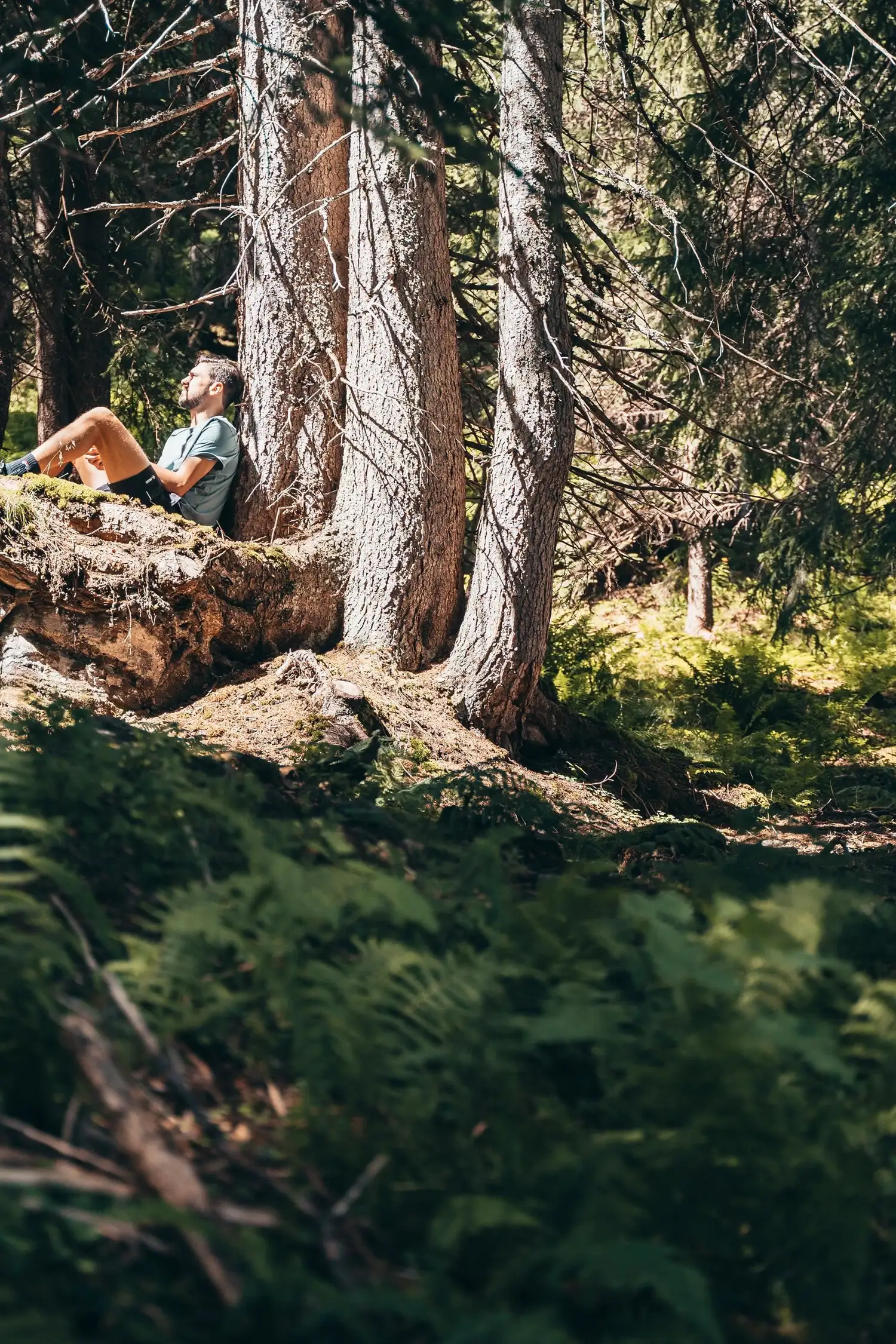 Forest Bathing in Damüls - Wellness in the Forest with Dorothea Nachbaur