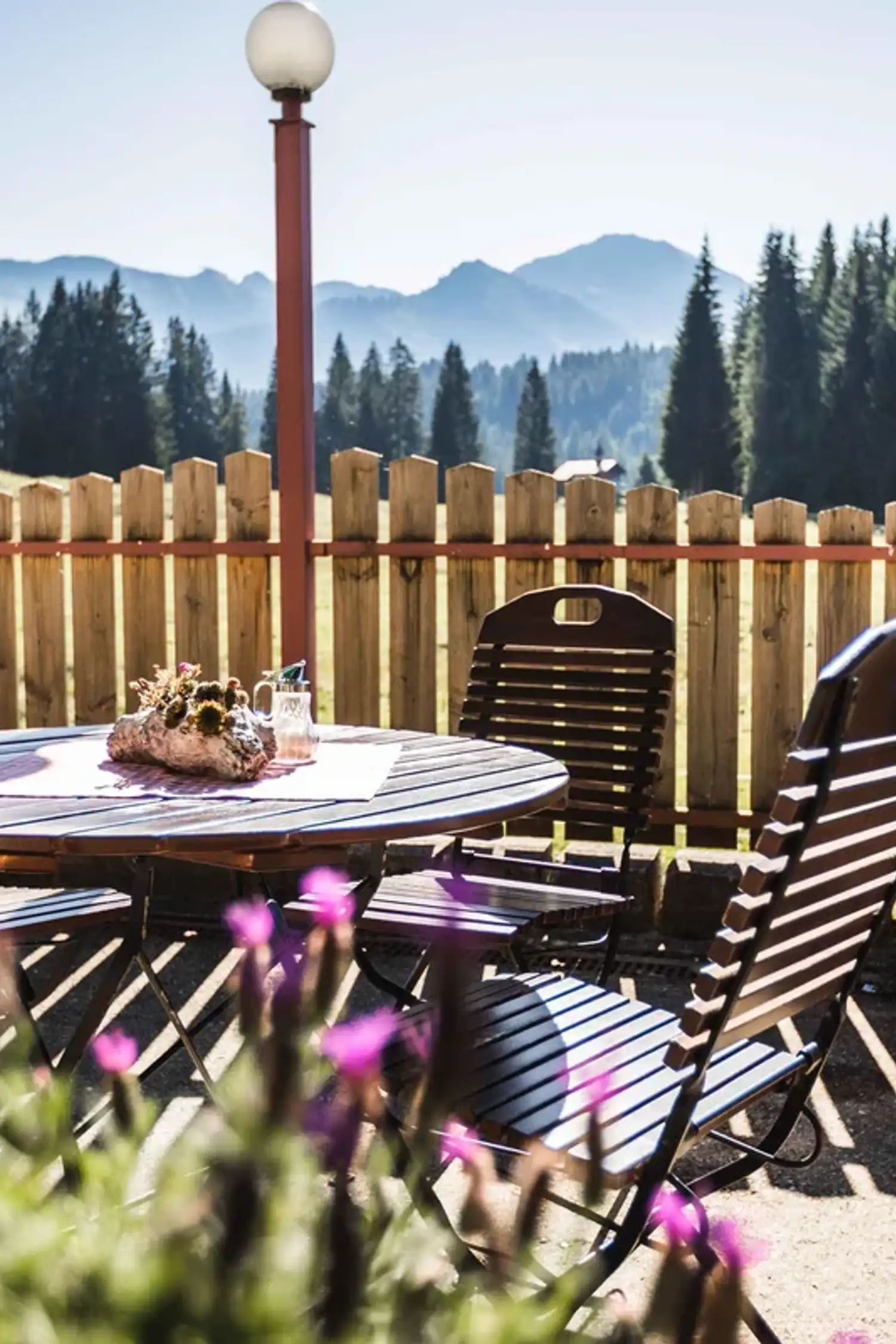 Alpine enjoyment and heavenly greetings - at the foot of the Ifens through the Wäldele