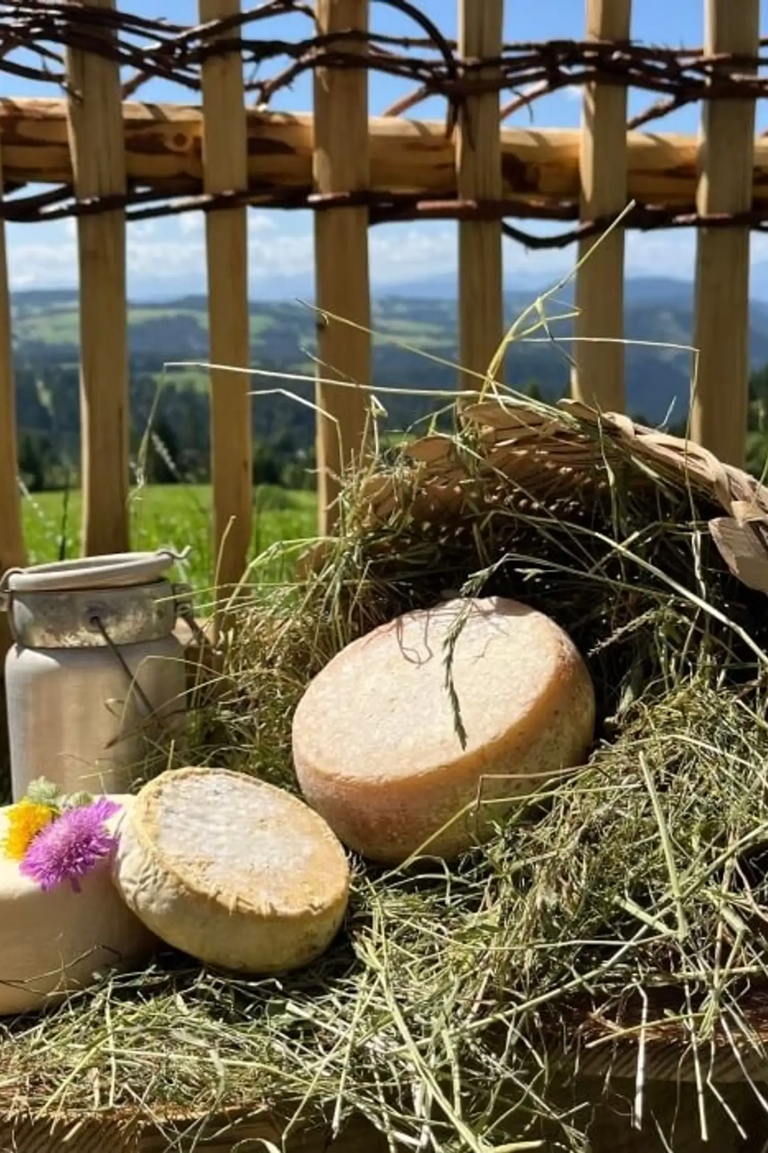 Oberwerkstatterhof Eggen - Formaggio di capra
