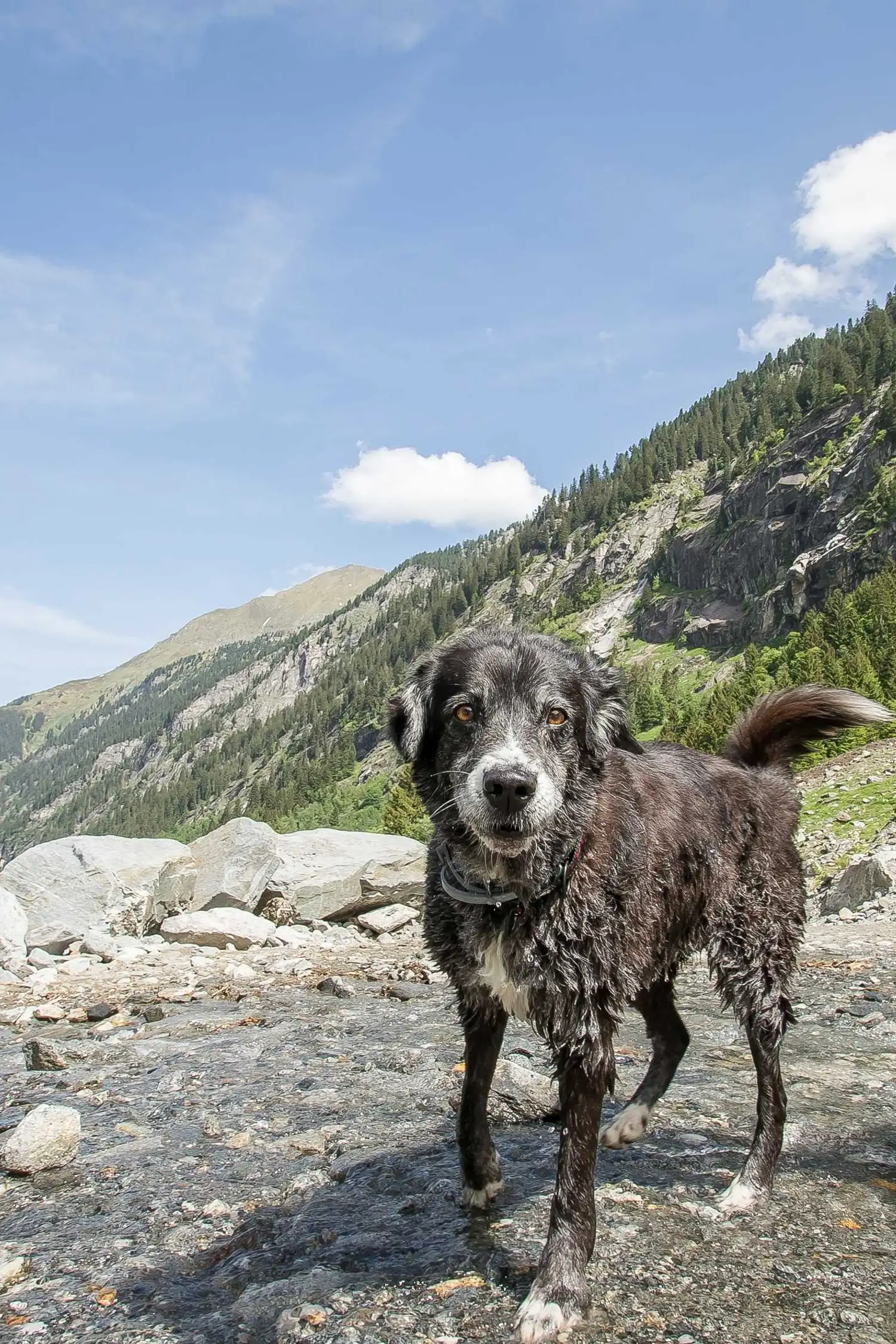 Mittelschwere Wanderung in traumhafter Natur