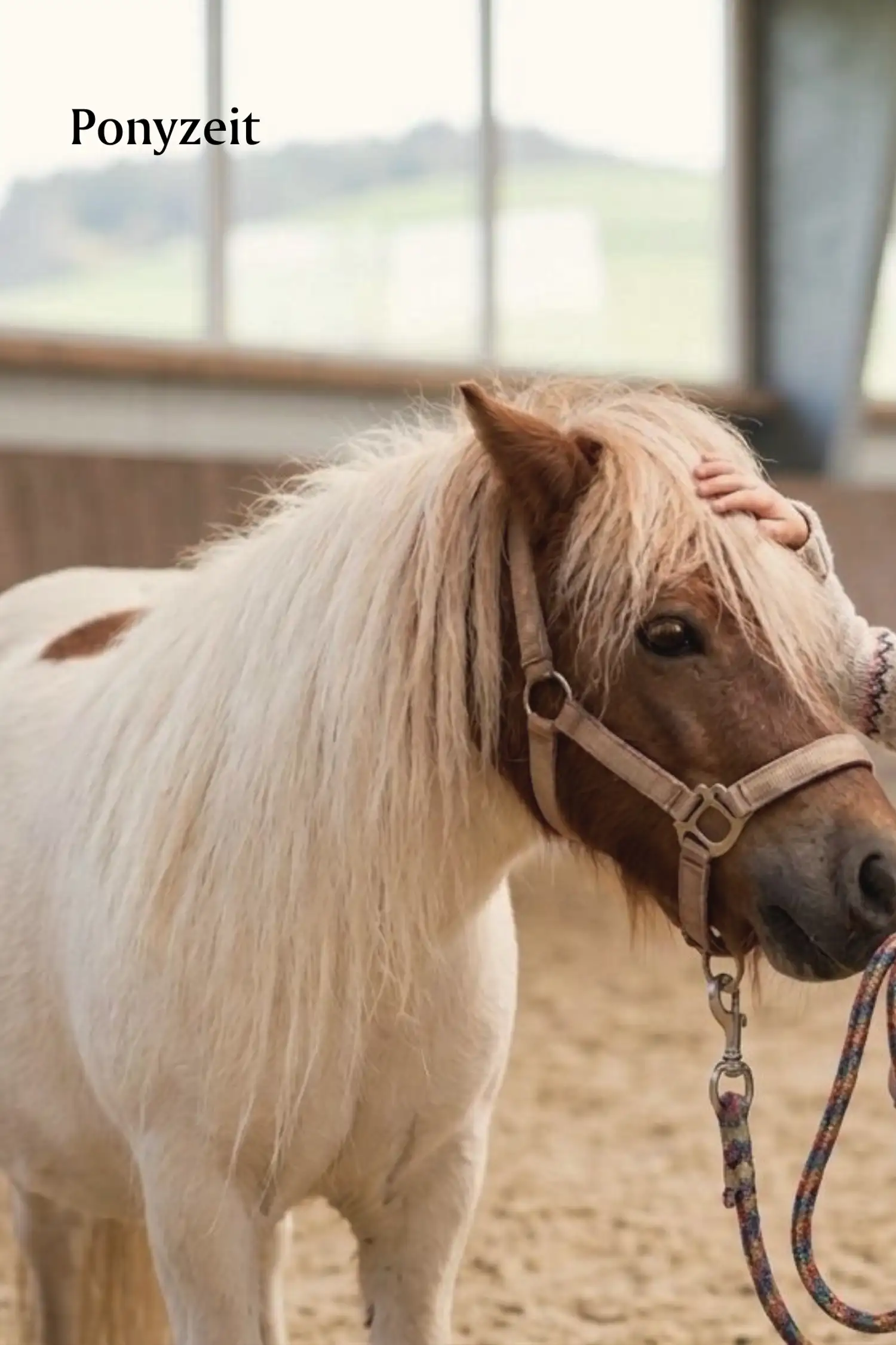 Children's Vacation Program | Pony Time