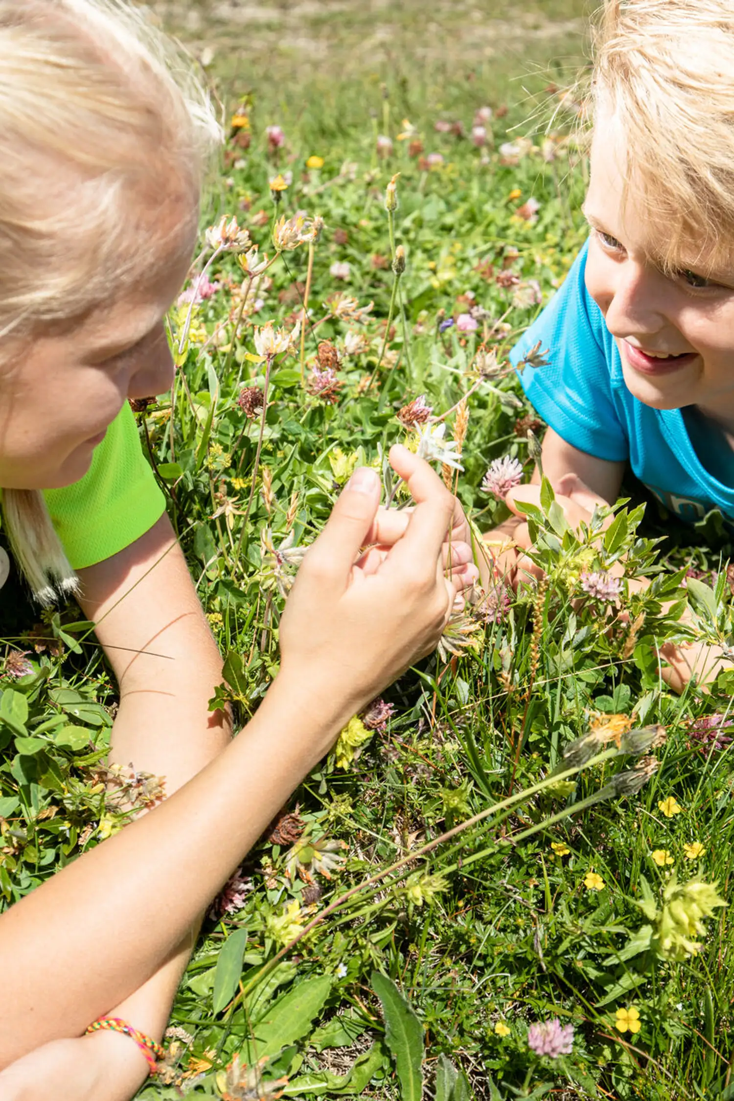Alpine experience in the Zemmgrund with children