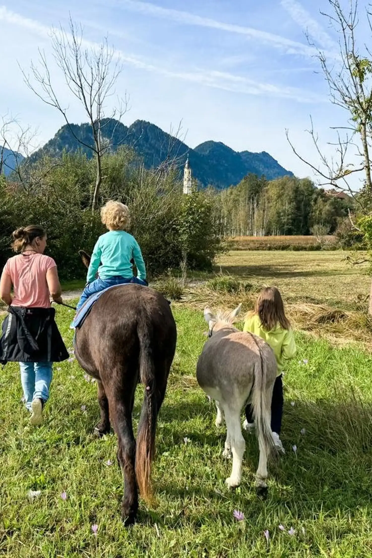 Eselwanderung in Pfronten
