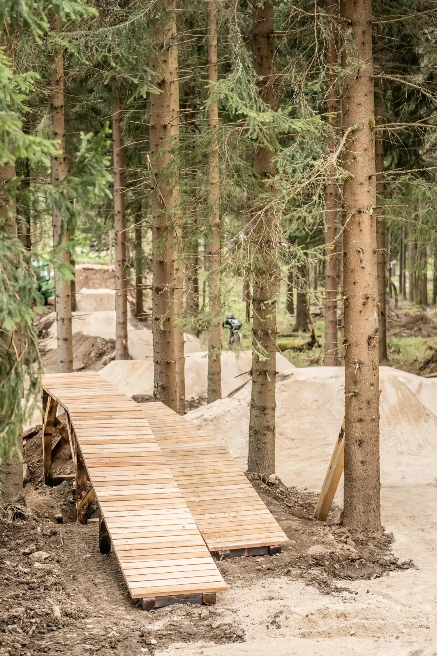 Bike-Spaß im Wald – Flowtrail am BASISLAGER