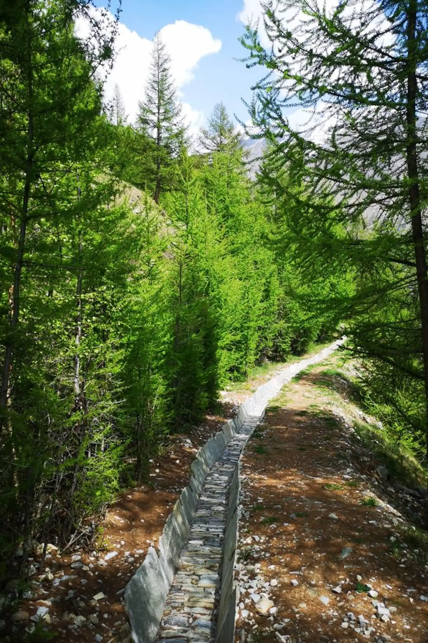 Suonen Hike