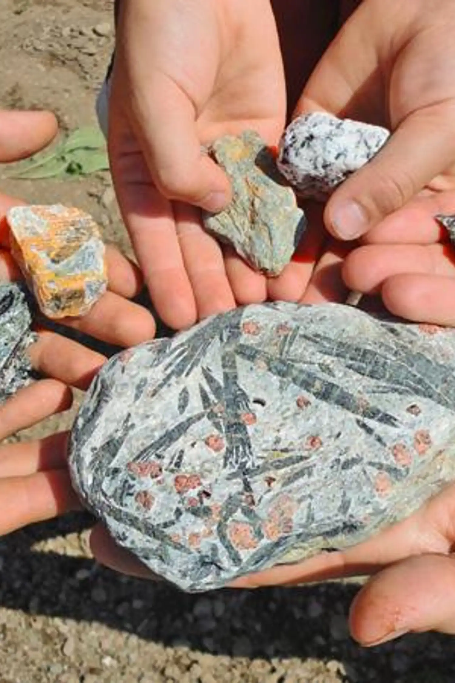 GEO workshop for children