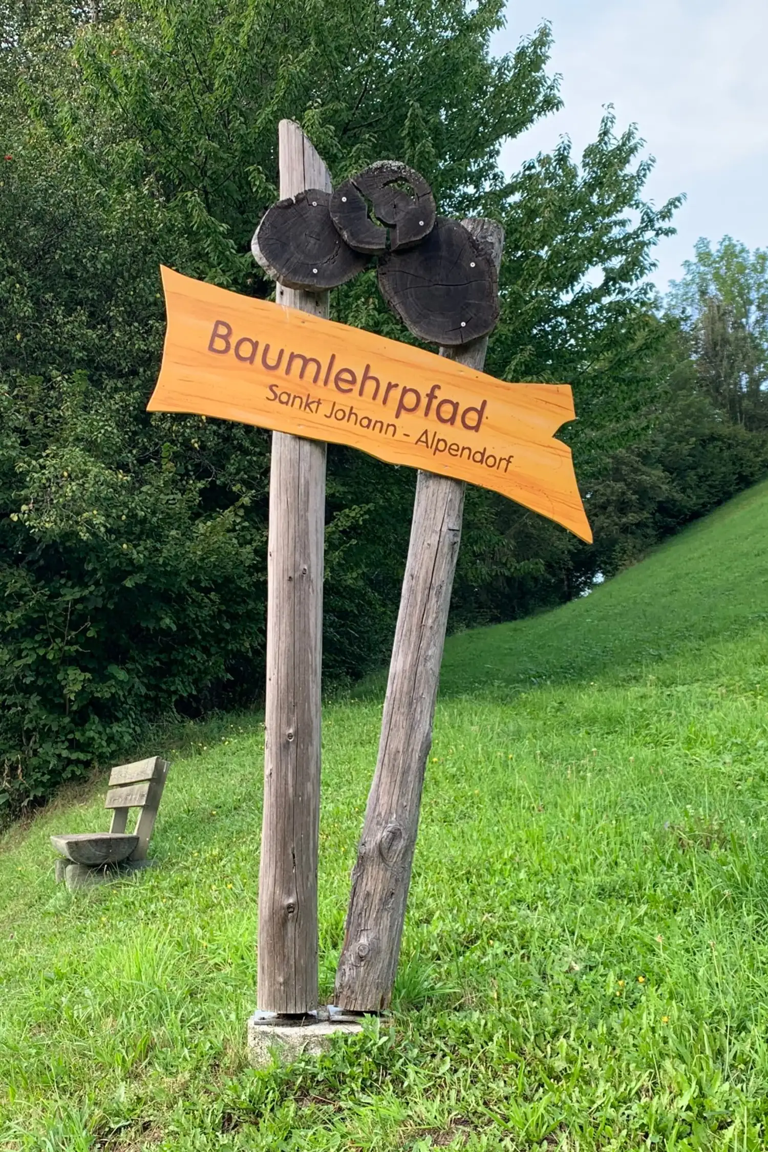 Baumlehrpfad im Alpendorf