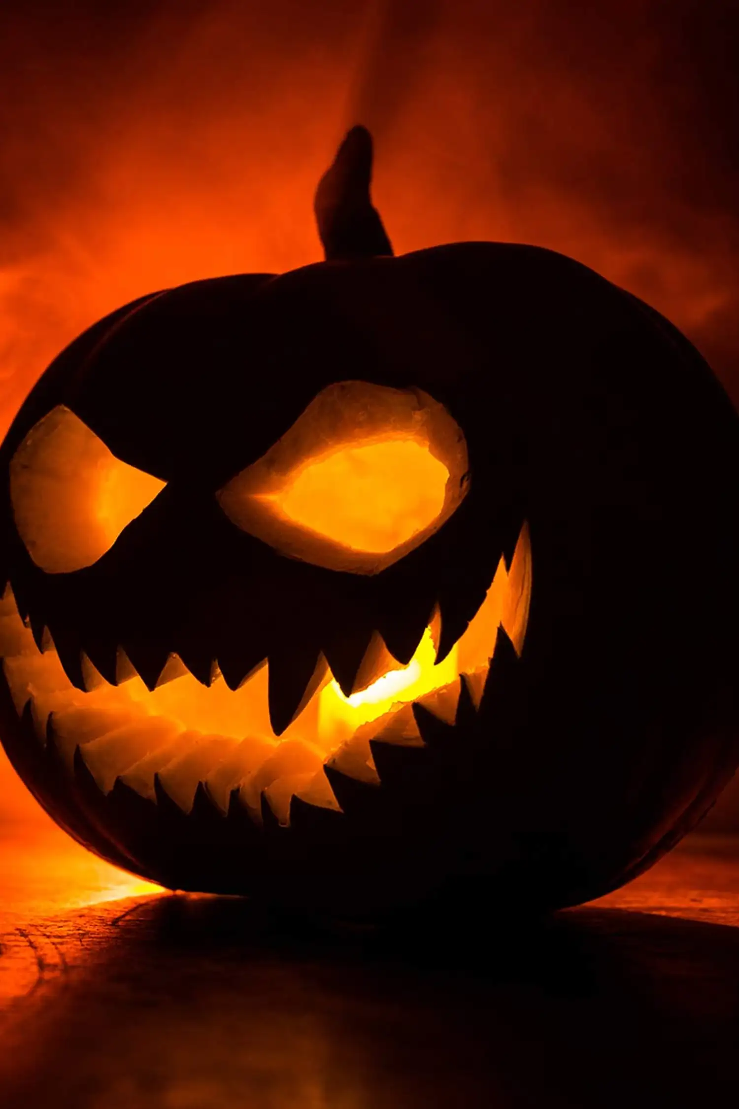 Halloween party at the Usedomer
Brauhaus - Beer, Beats & BBQ