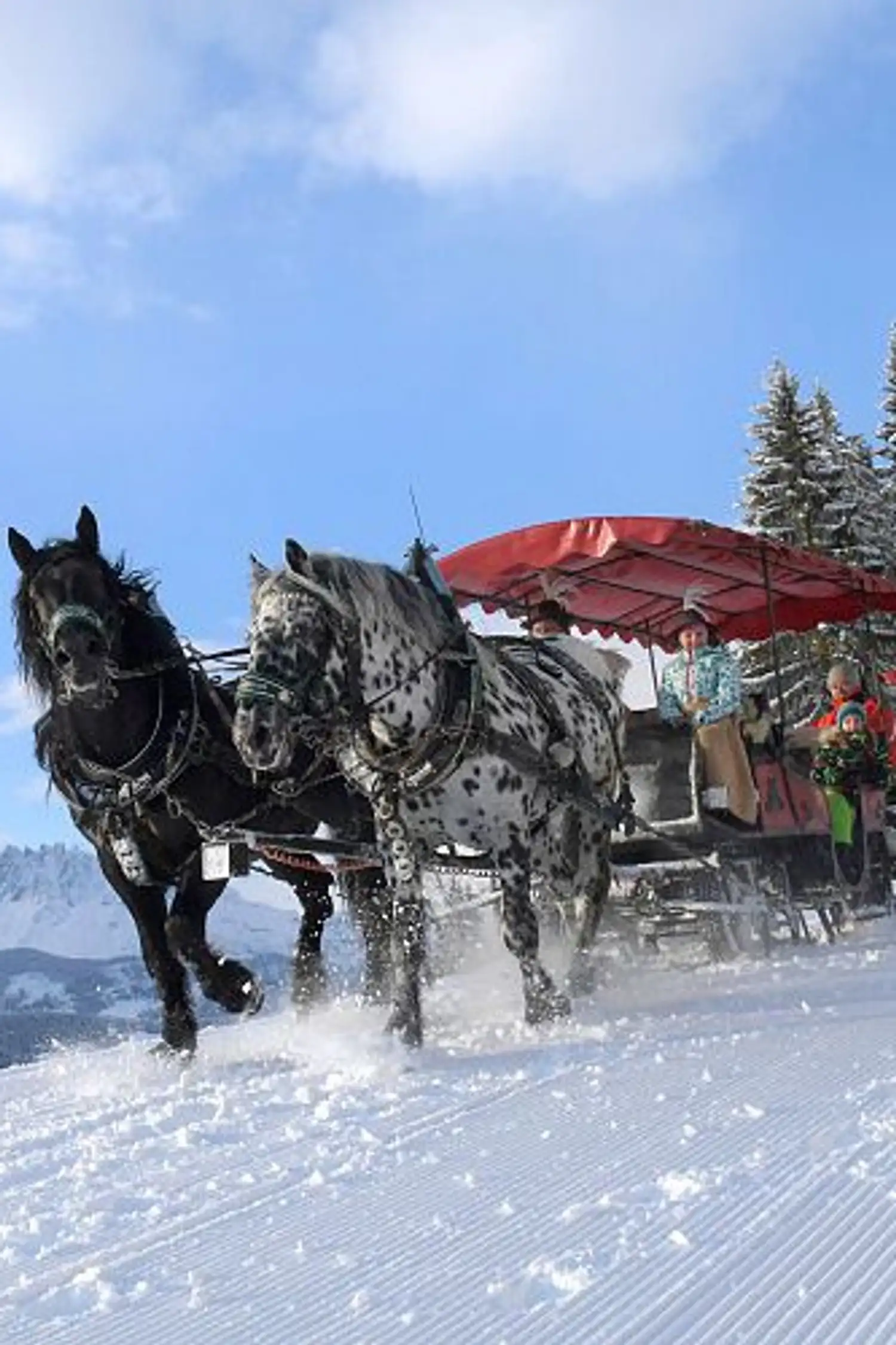 Horse-drawn sleigh ride in St. Johann