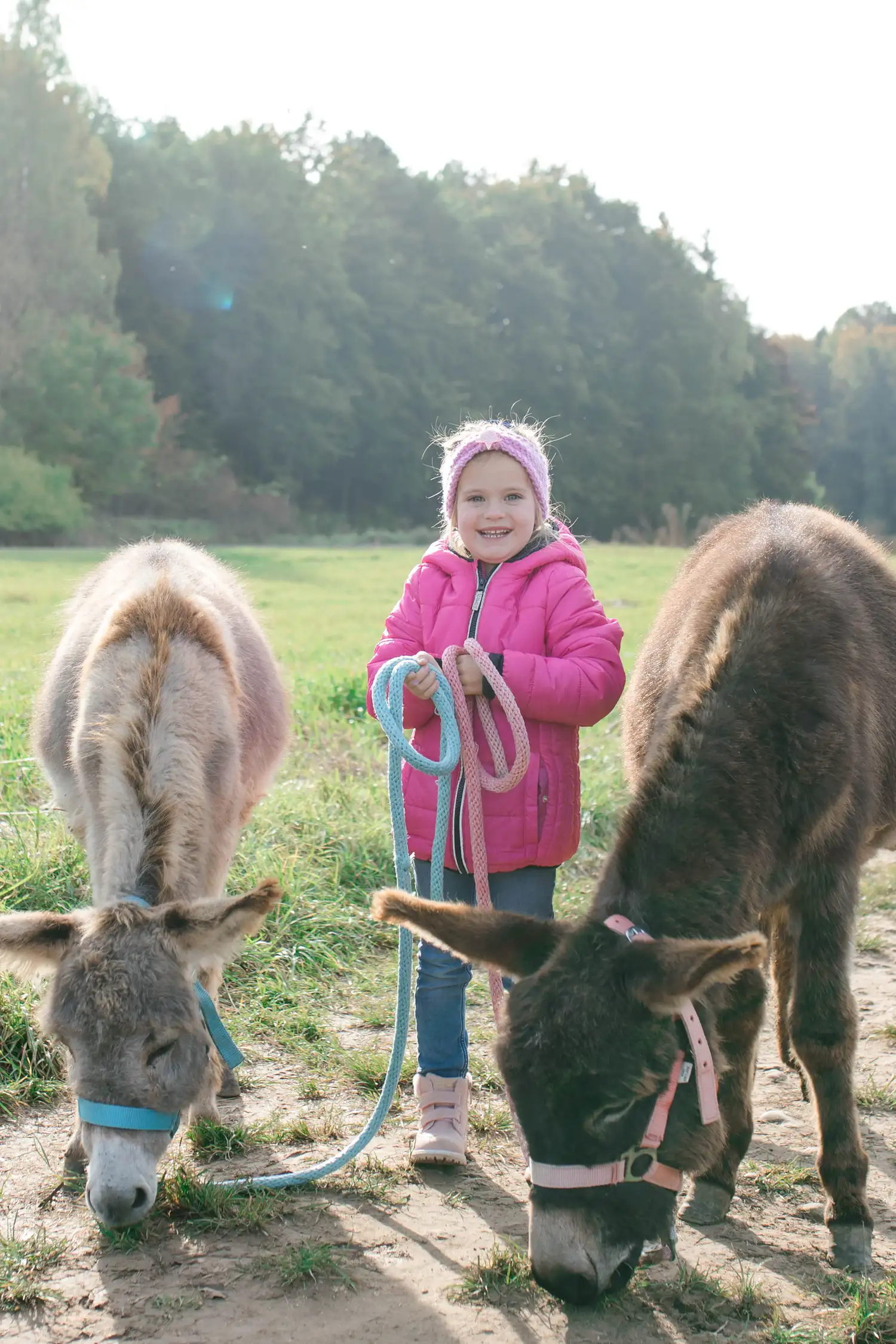 Donkey Walk