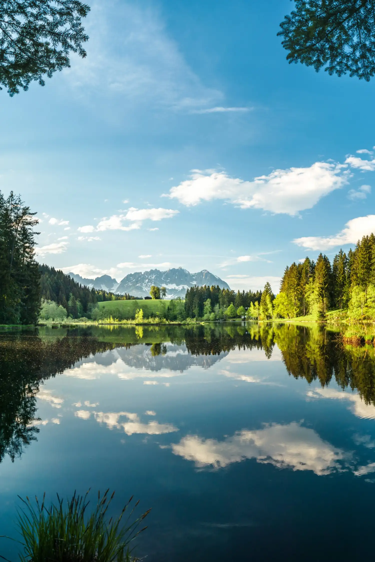 Gieringer Weiher