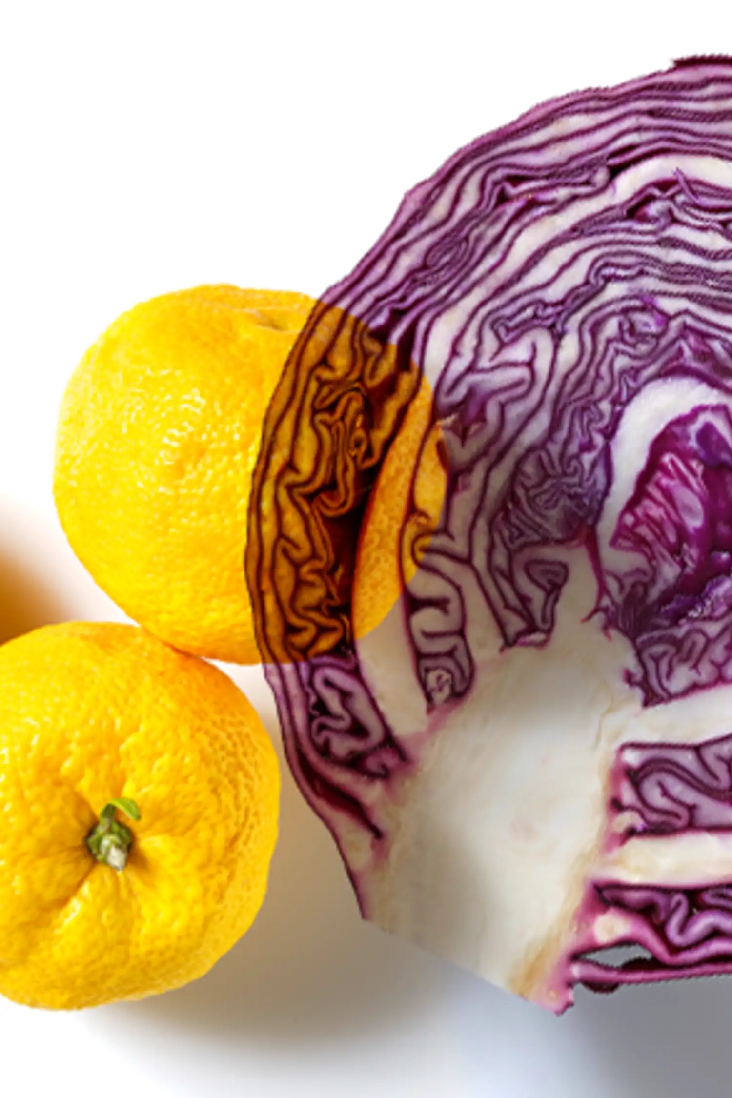 Kids' Vacation Program | Fascinating Color Experiments with Red Cabbage, Lemon, and More