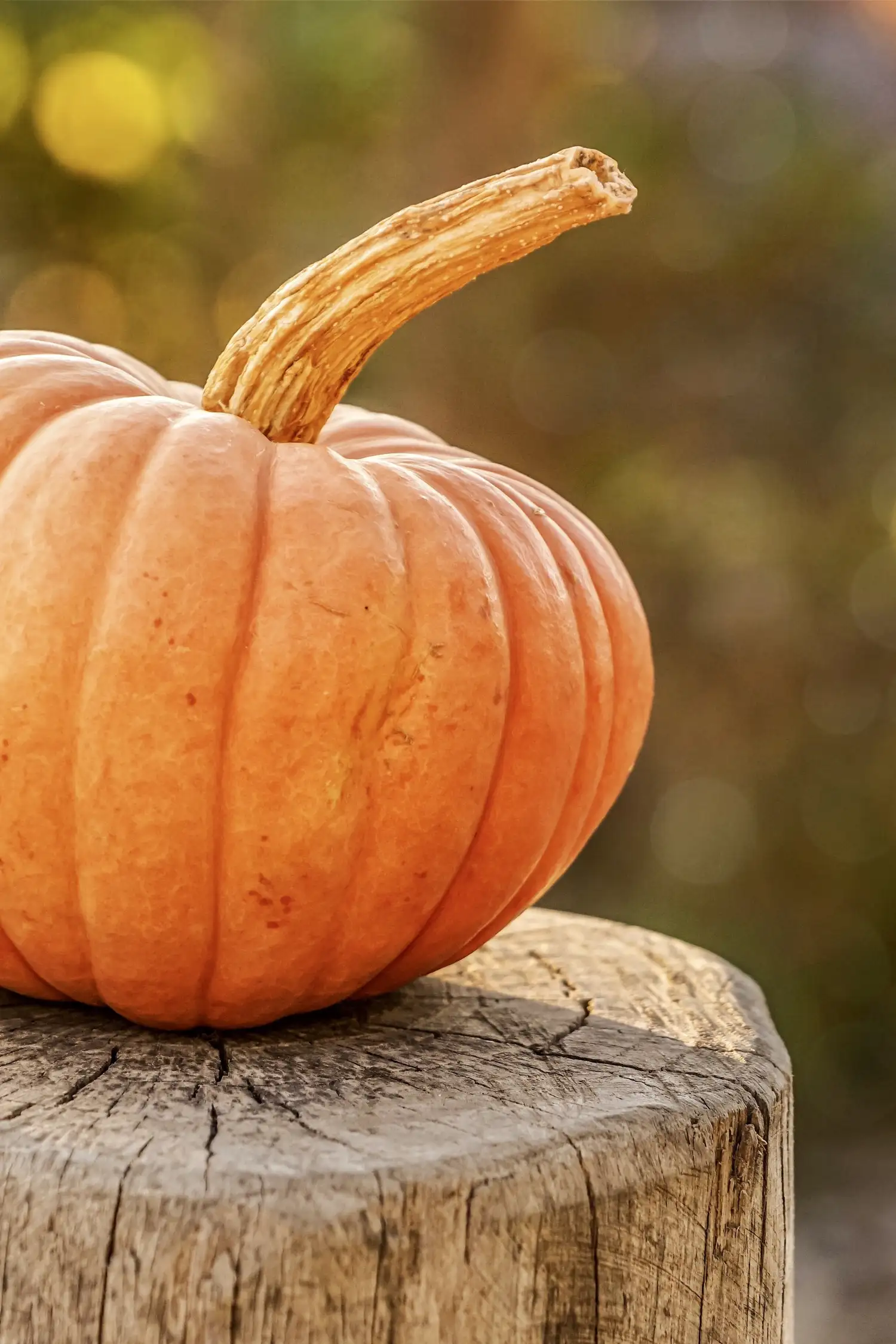 Making Button Pumpkins