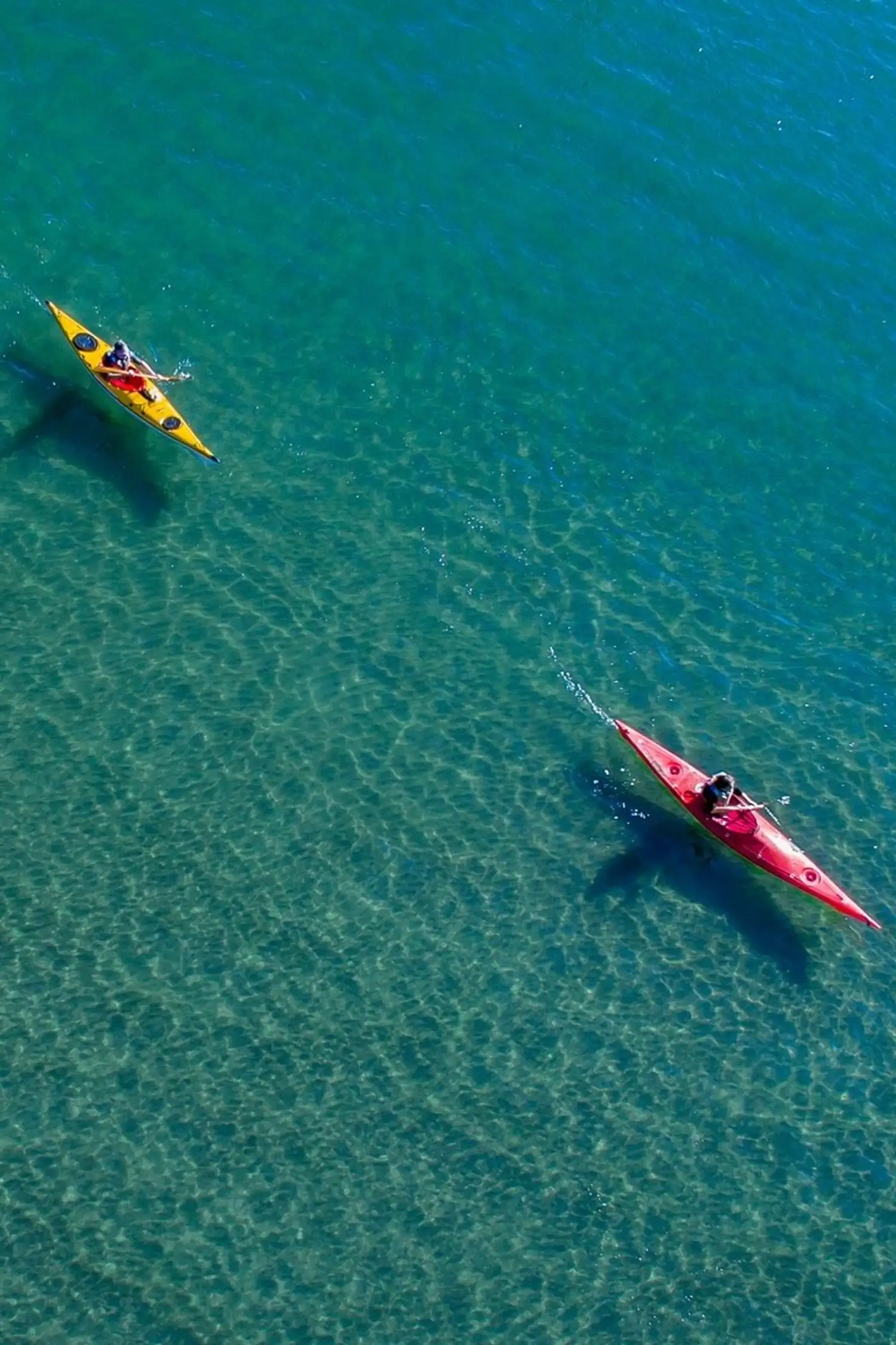 Kayak tour along the coast of Bibinje