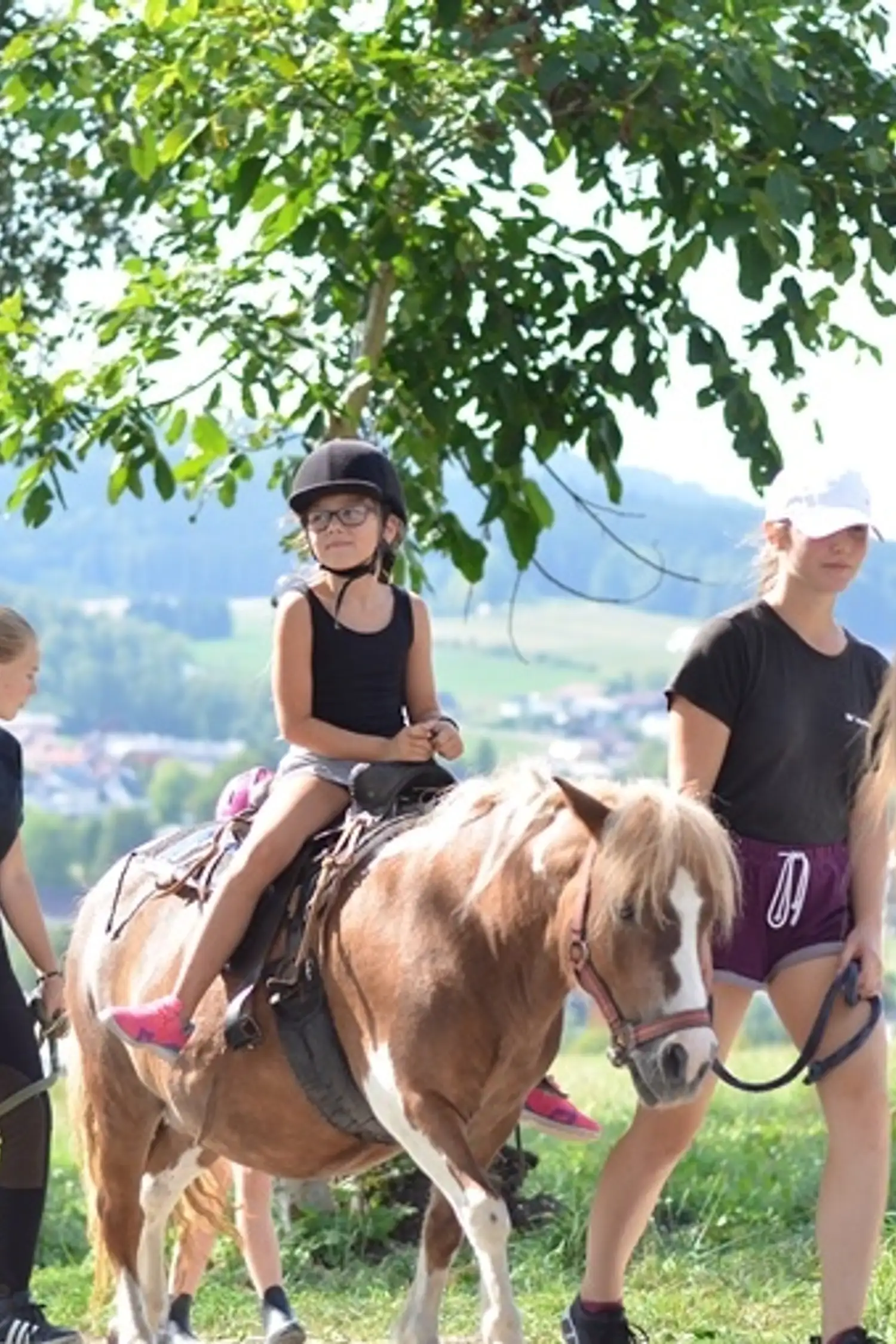 Pony Rides for Kids in Westendorf