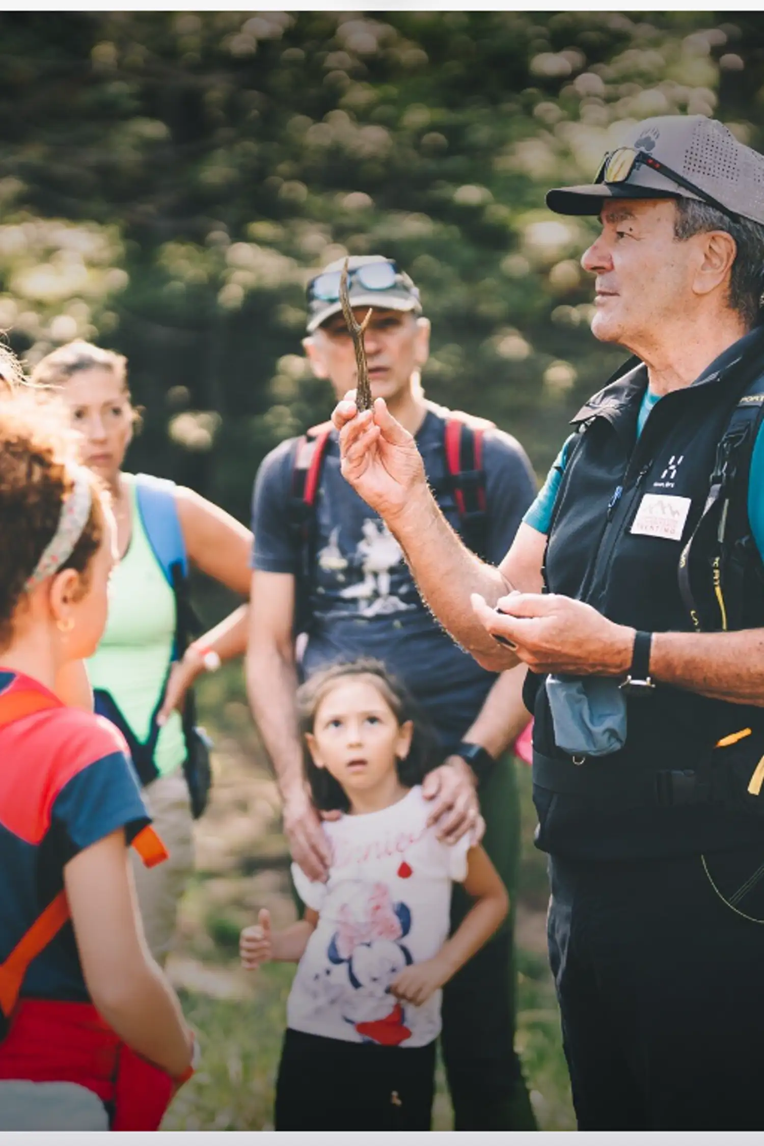 MONDAY: Forest Explorers