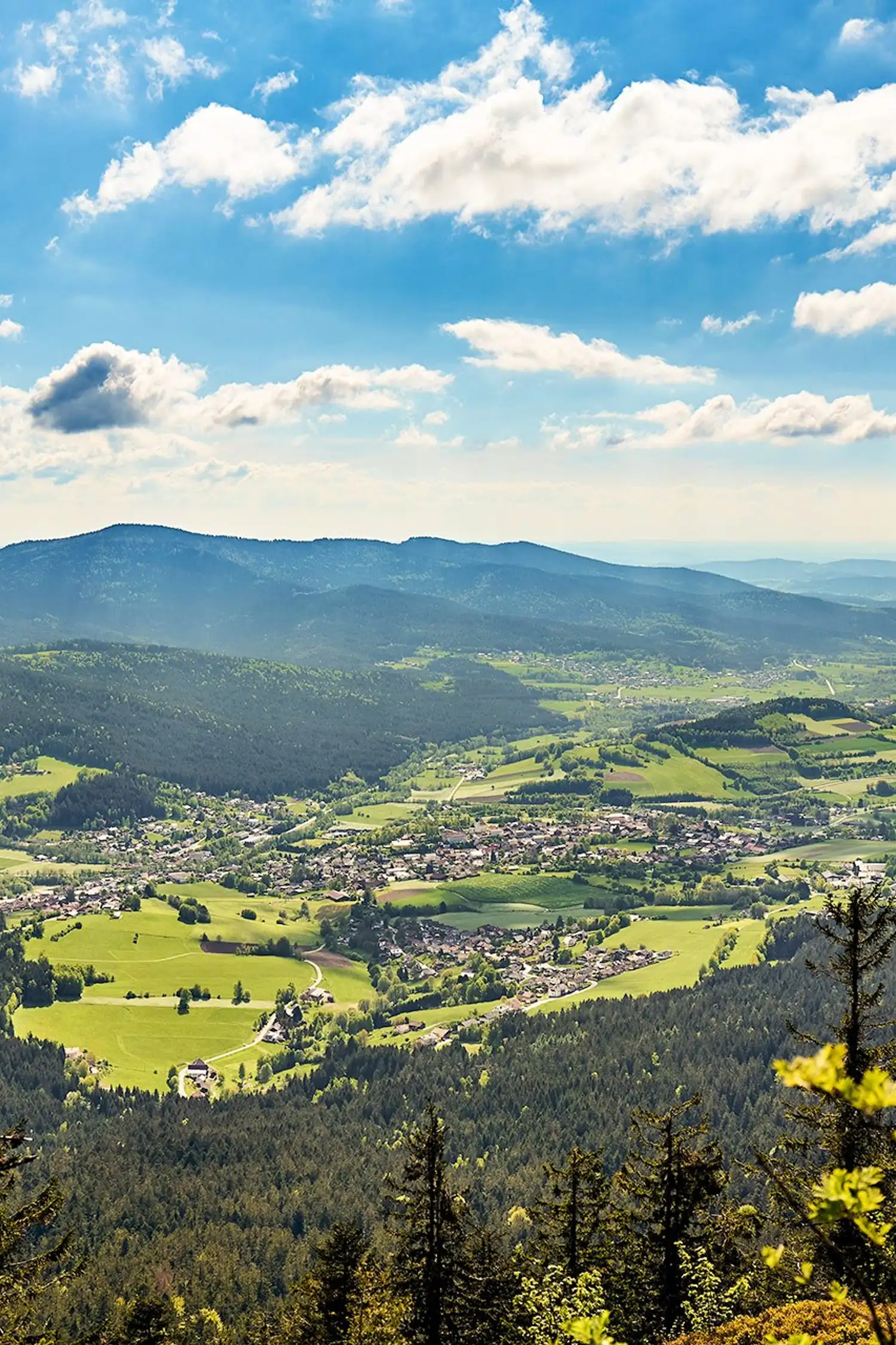 Guided hike with Franz and Olympic champion Kornelia Grummt-Ender