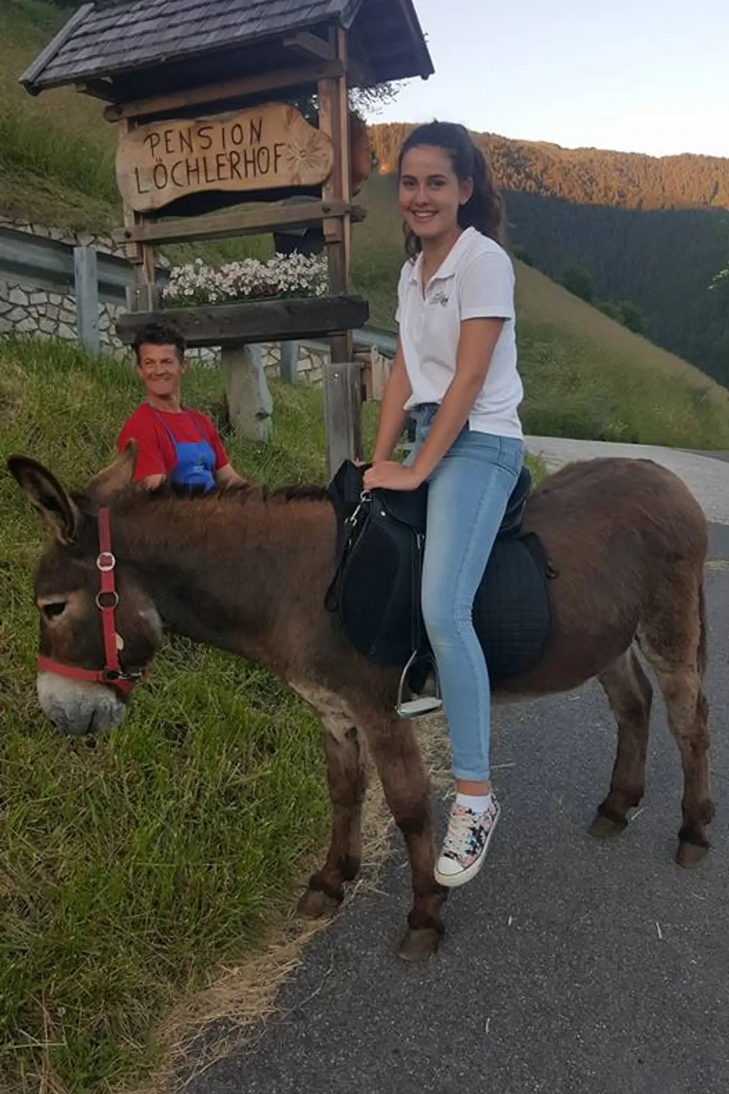 Antonio is already waiting: donkey rides at the Löchlerhof